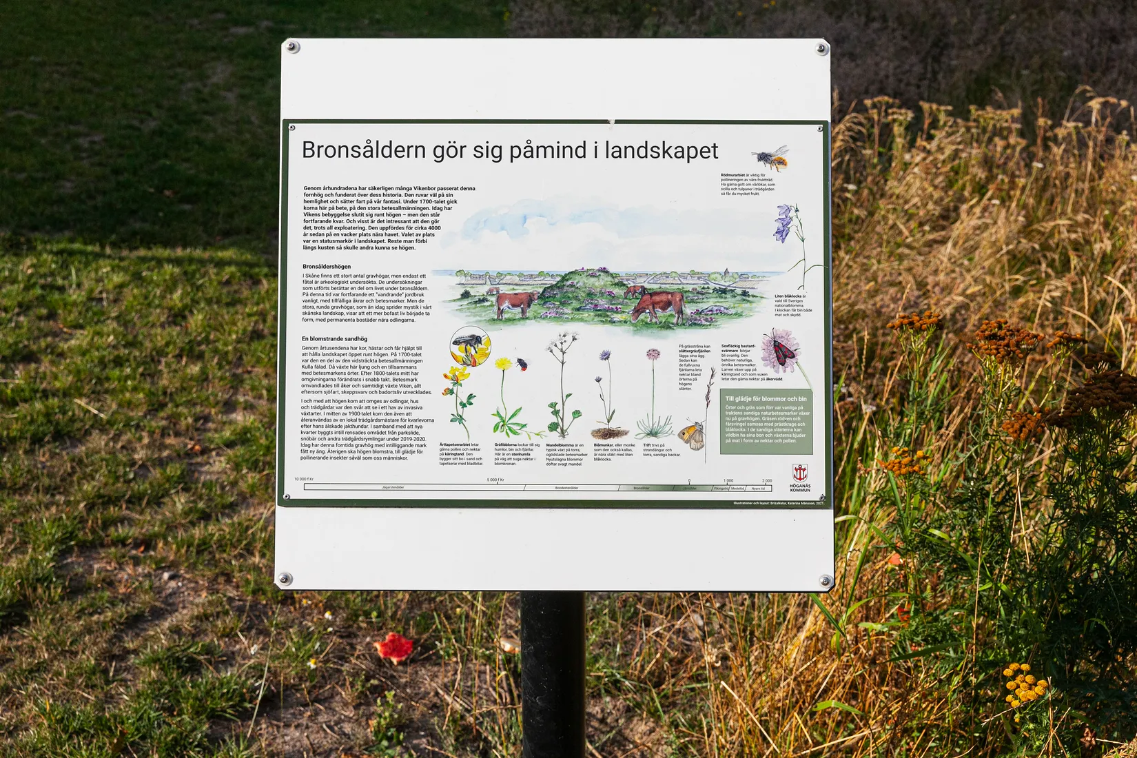 Bostadsrätt, Lilly Håkanssons gata 19B, Viken, Höganäs