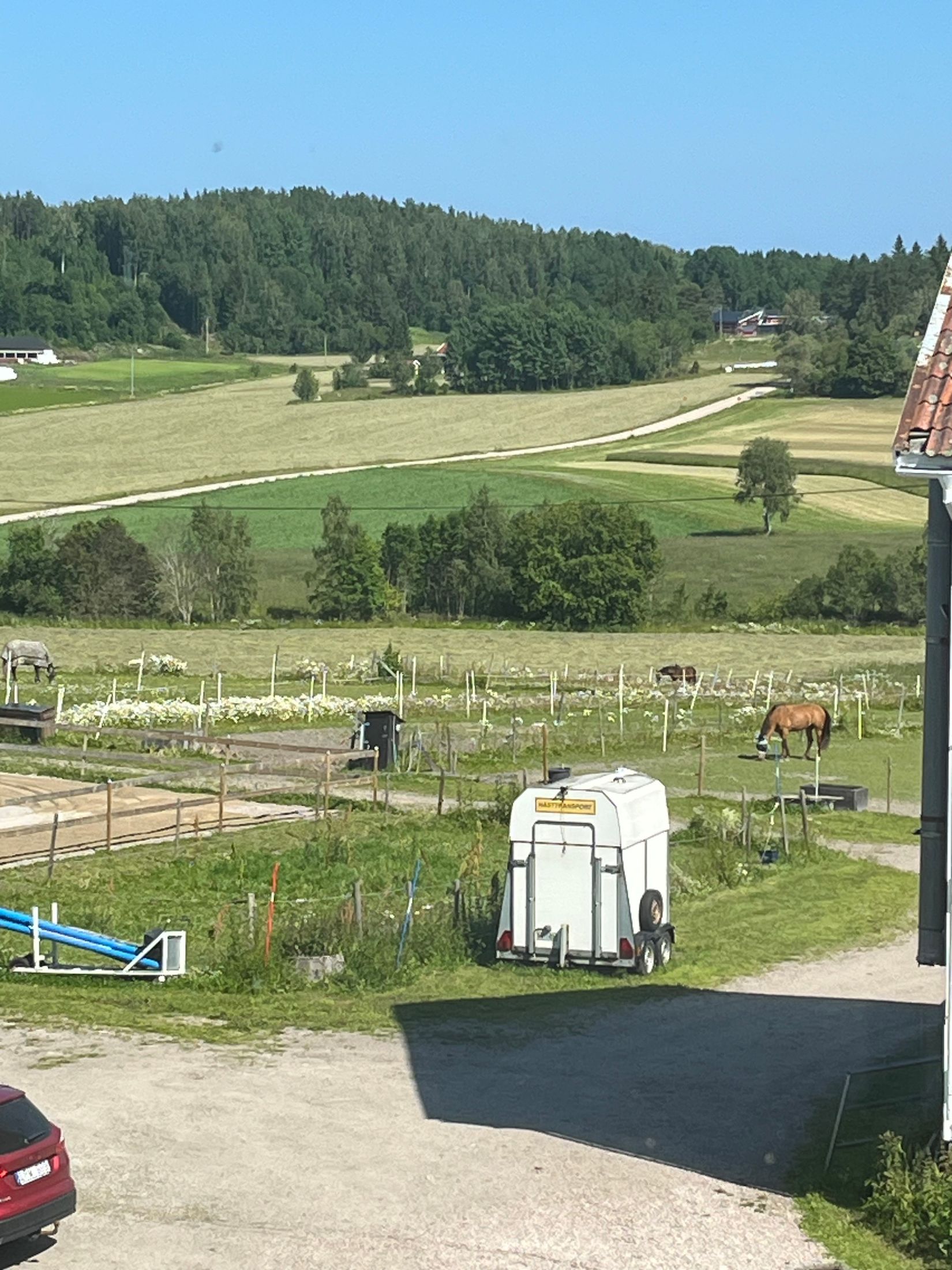 Gård/Skog, Bunsta 103, Sundsvall - Njurunda, Sundsvall