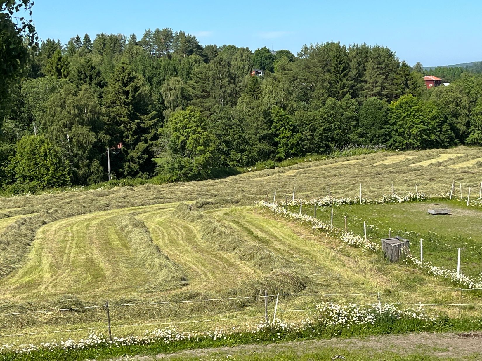 Gård/Skog, Bunsta 103, Sundsvall - Njurunda, Sundsvall