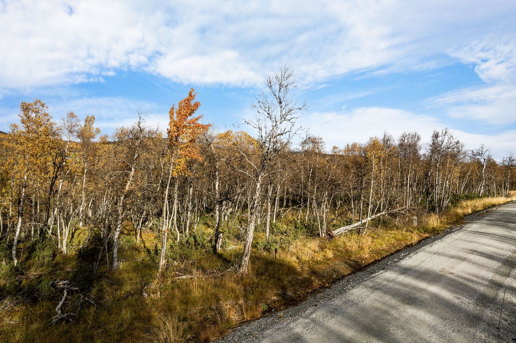 Tomt, Pålsvallen 399, Härjedalen