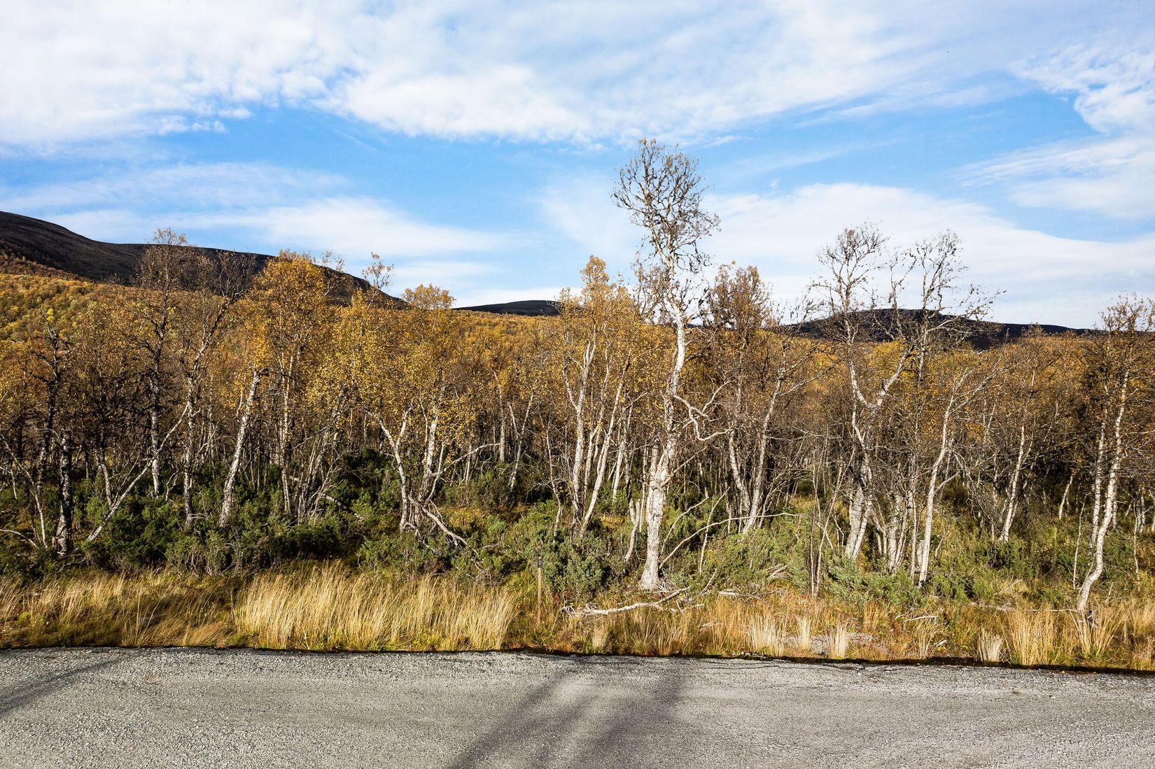 Tomt, Pålsvallen 399, Härjedalen