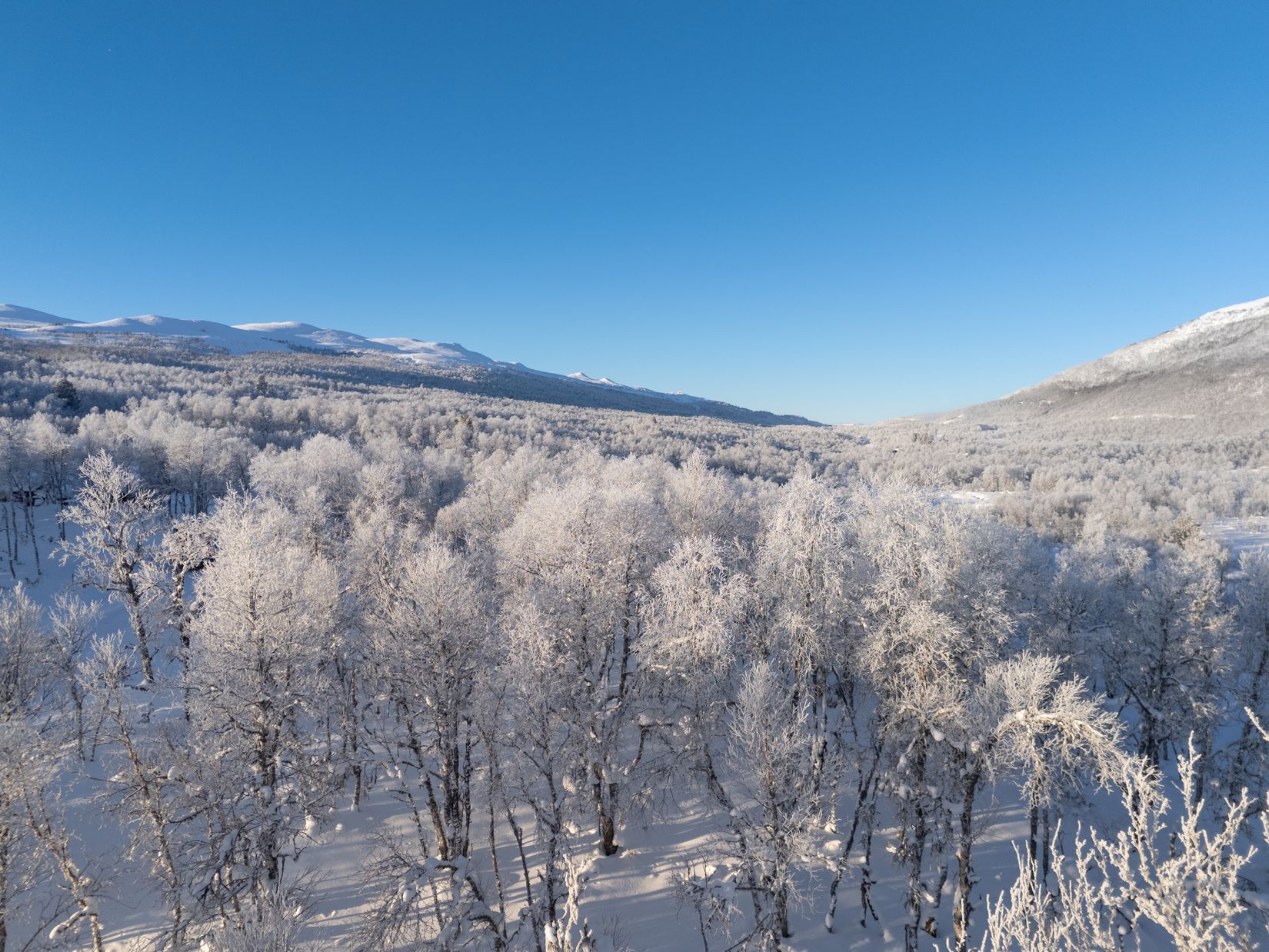 Tomt, Pålsvallen 399, Härjedalen