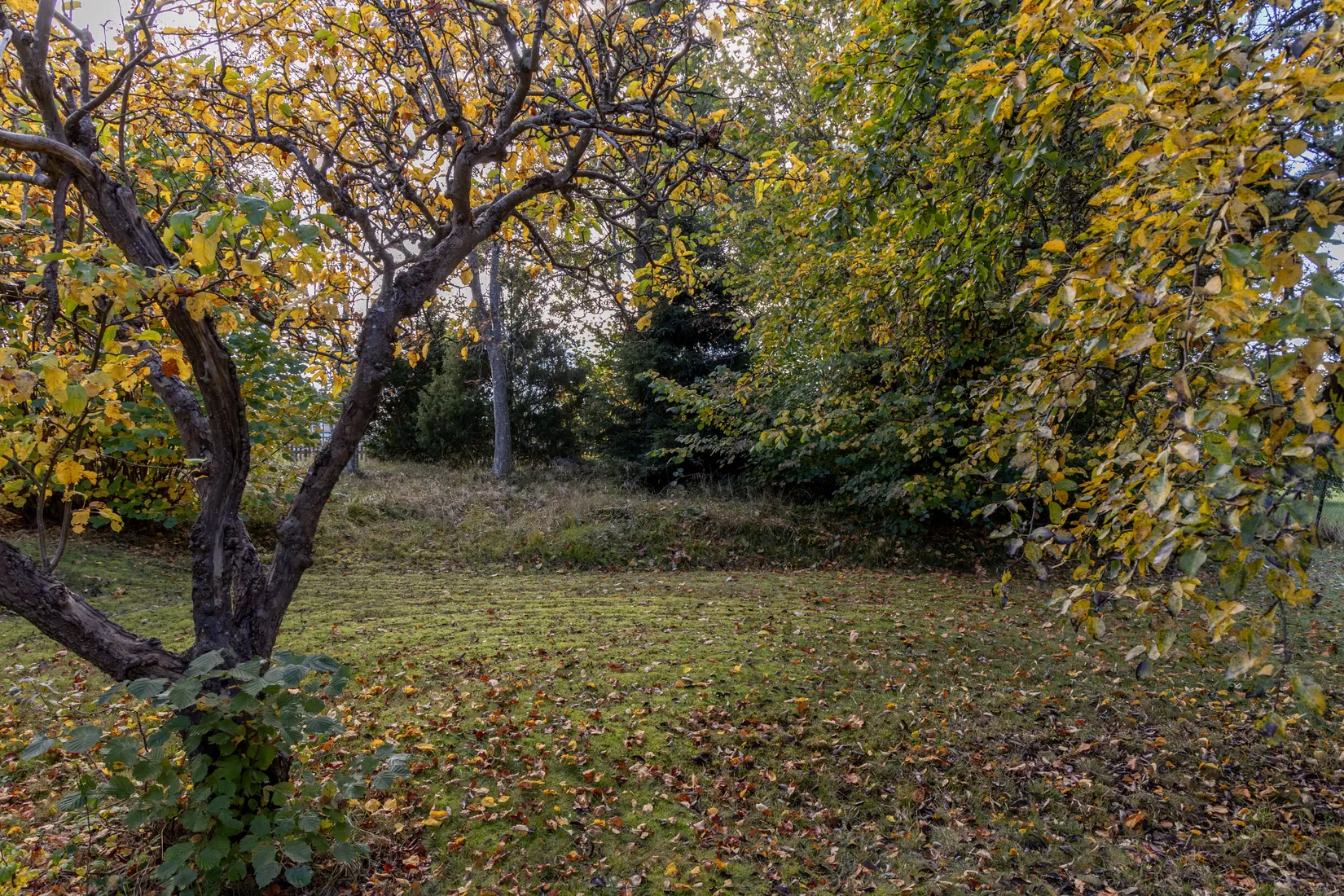 Villa, Bryggerigatan 9, Centralt, Mönsterås
