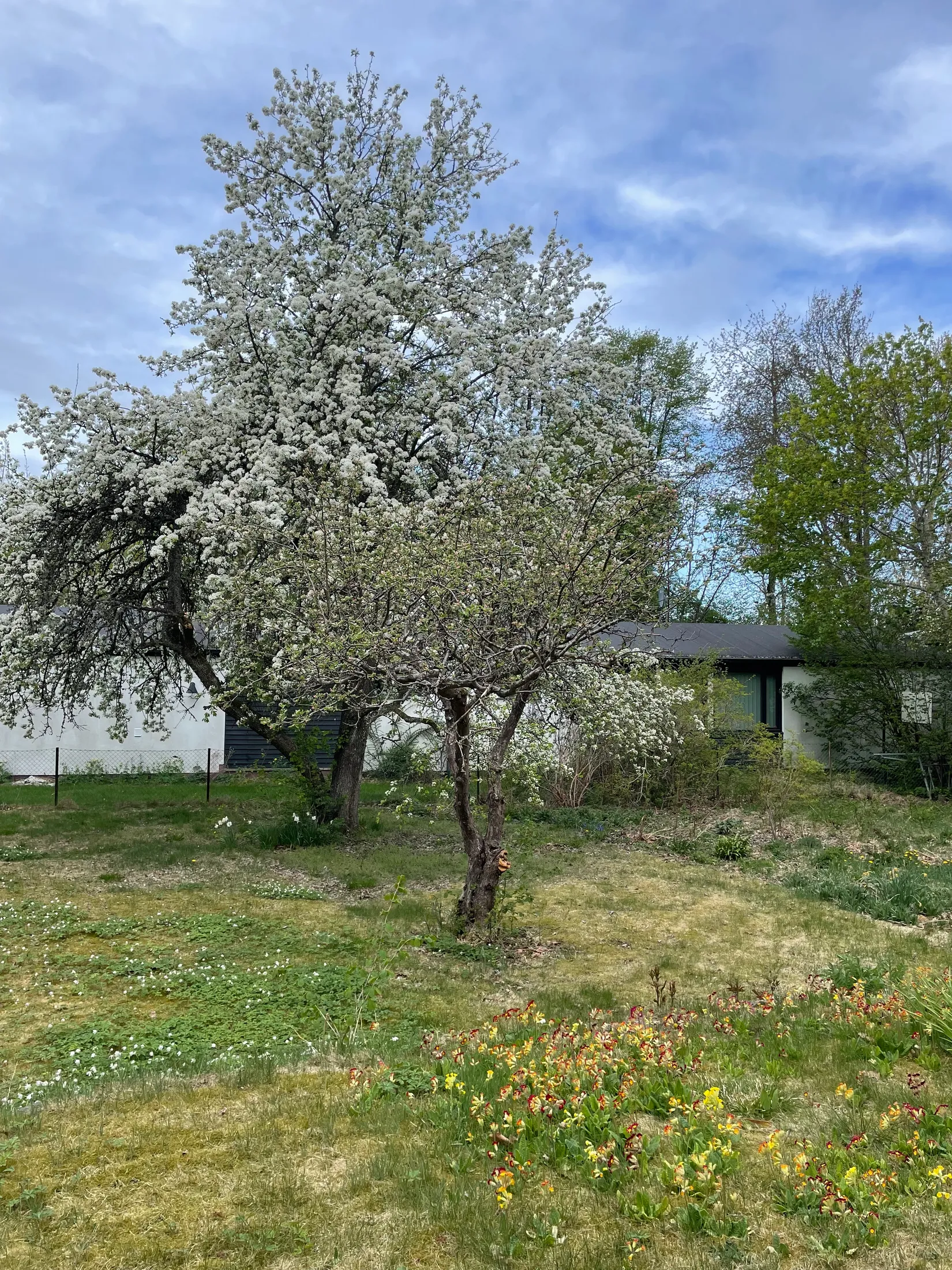 Villa, Bryggerigatan 9, Centralt, Mönsterås