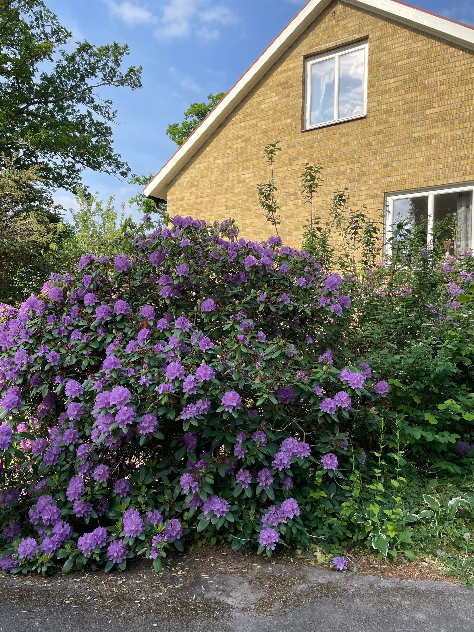 Villa, Bryggerigatan 9, Centralt, Mönsterås