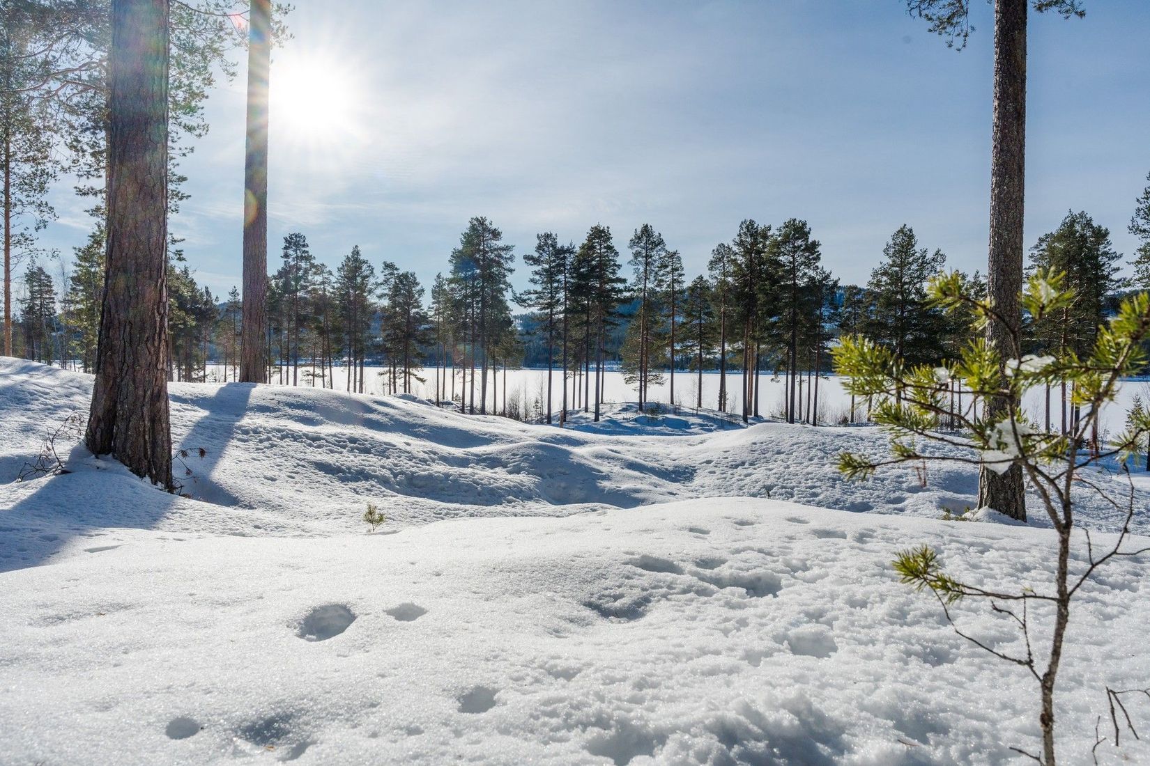 Fritidshus, Stugbyvägen 11, Åsen, Älvdalen