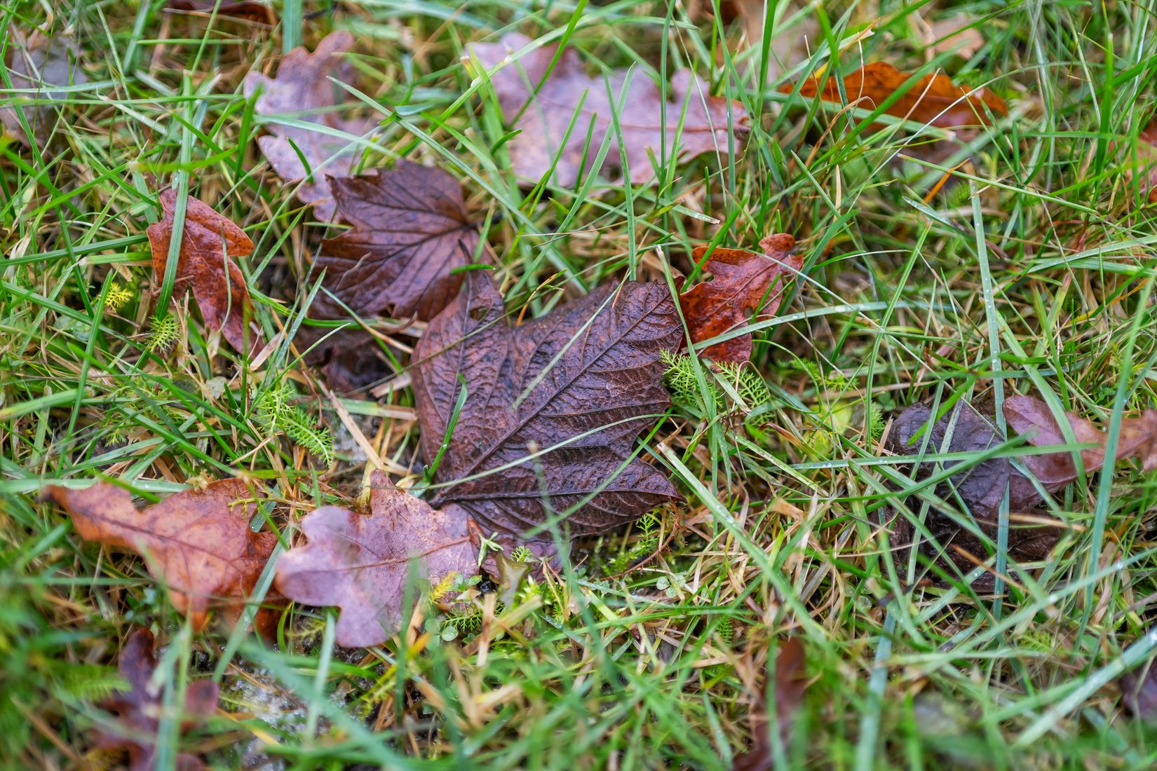 Villa, Floravägen 38, Centrum, Ånge