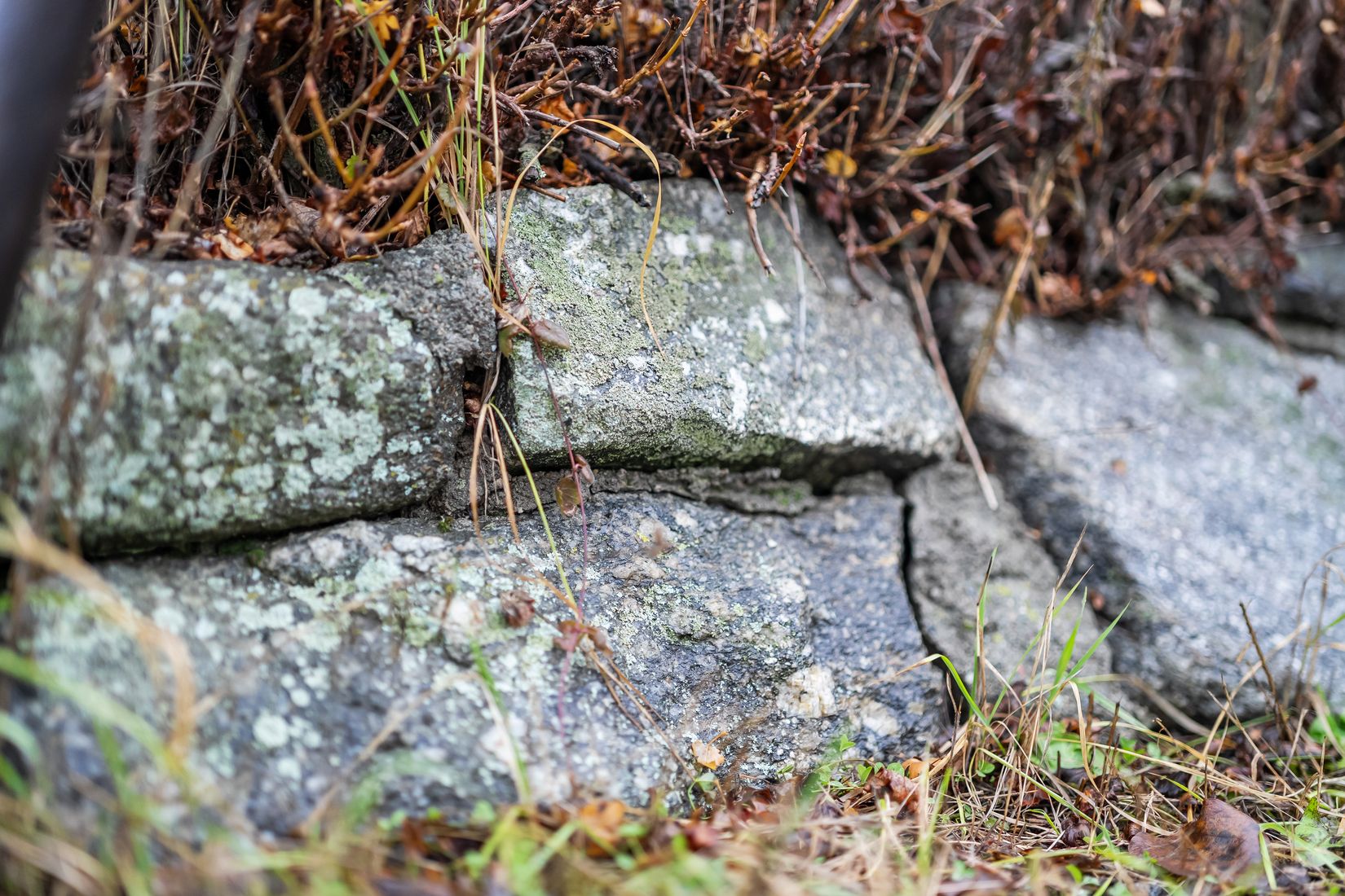 Villa, Floravägen 38, Centrum, Ånge