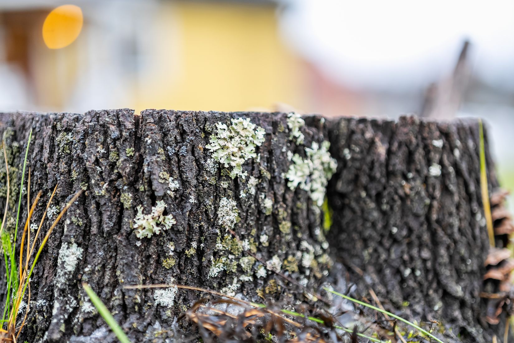 Villa, Floravägen 38, Centrum, Ånge