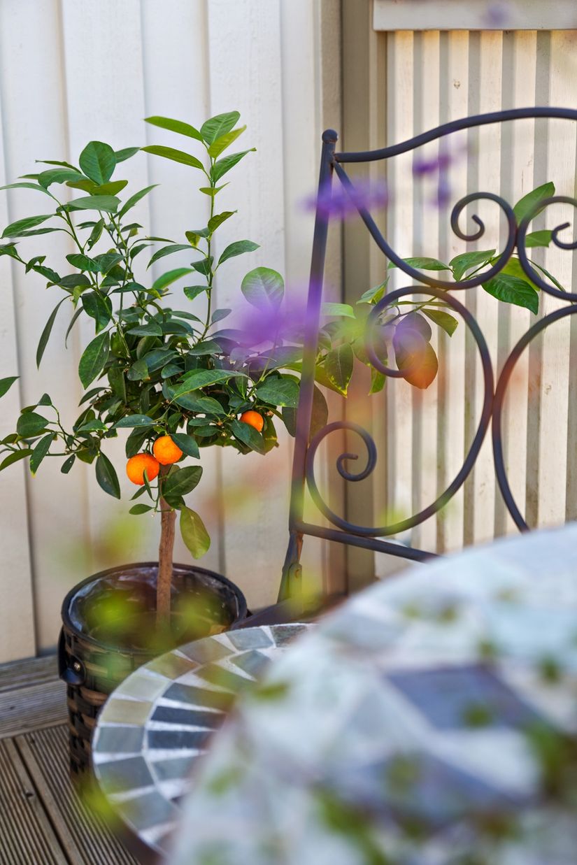 Villa, Radhus, Odengatan 71, Östra Ängabo, Alingsås