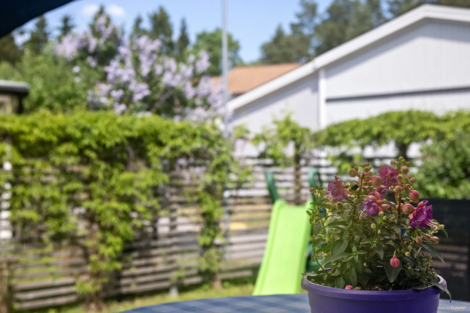 Bostadsrätt, Kolugnsvägen 155, Knivsta