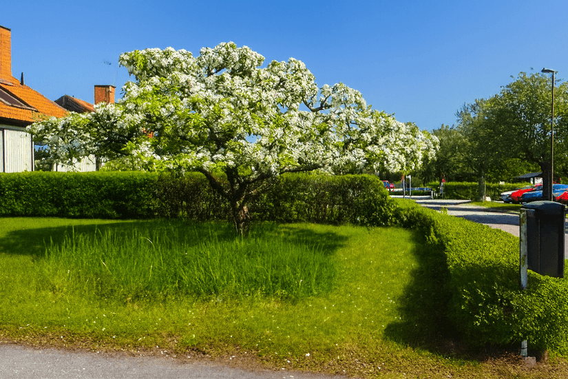 Villa, Radhus, Almgatan 25, Almby, Örebro