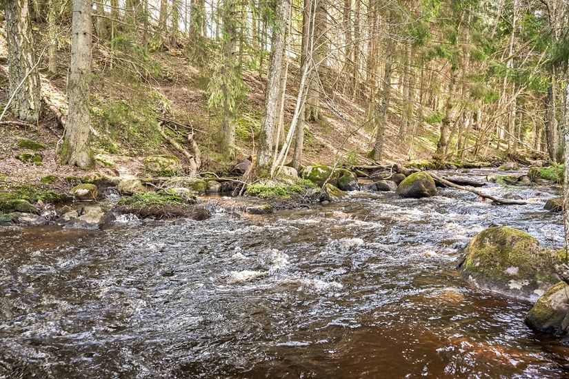Radhus, Hjovägen 31F, Kyrkeryd, Habo