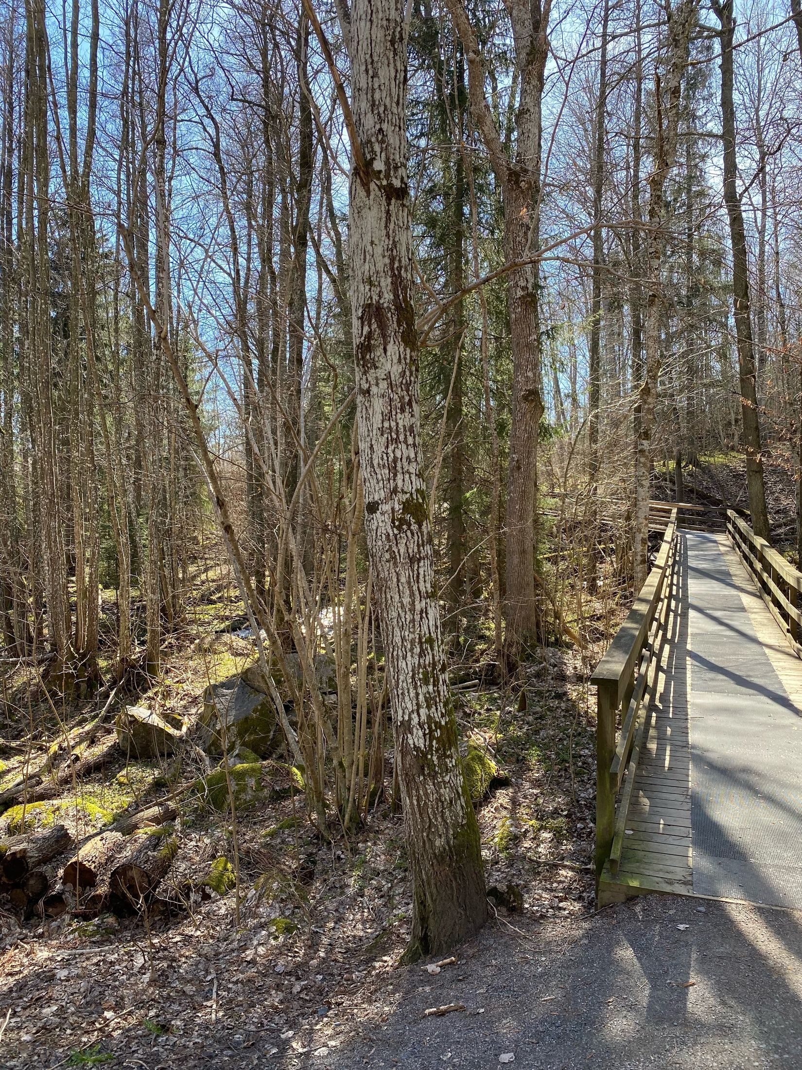 Radhus, Hjovägen 31F, Kyrkeryd, Habo