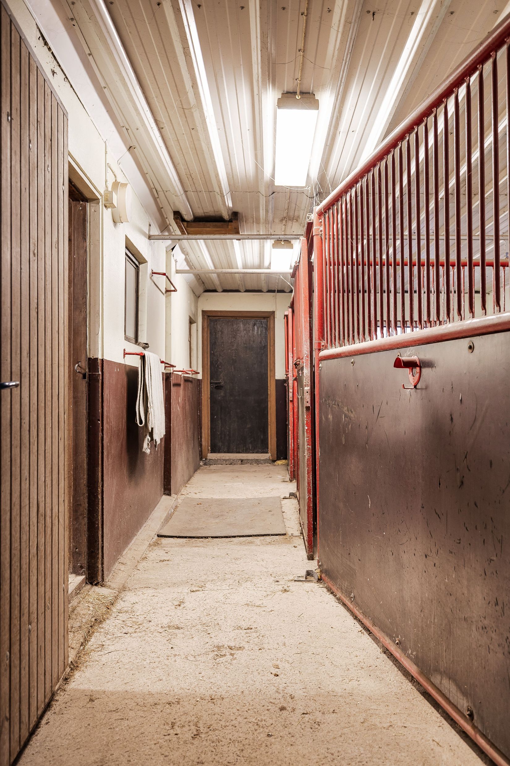 Gård/Skog, Nygården 55 (Tronshagens Gård), Aspeboda, Falun