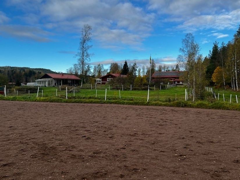 Gård/Skog, Nygården 55 (Tronshagens Gård), Aspeboda, Falun