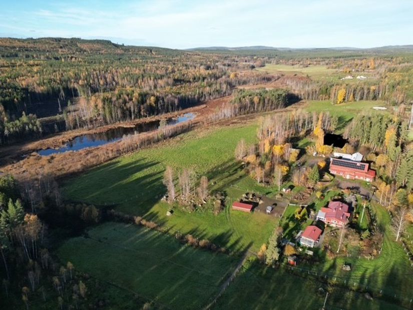 Gård/Skog, Nygården 55 (Tronshagens Gård), Aspeboda, Falun