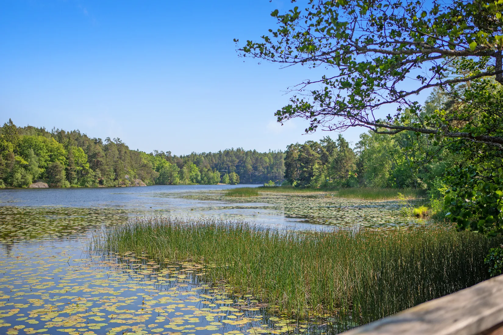 Bostadsrätt, Voxnegränd 22, Bagarmossen, Stockholm