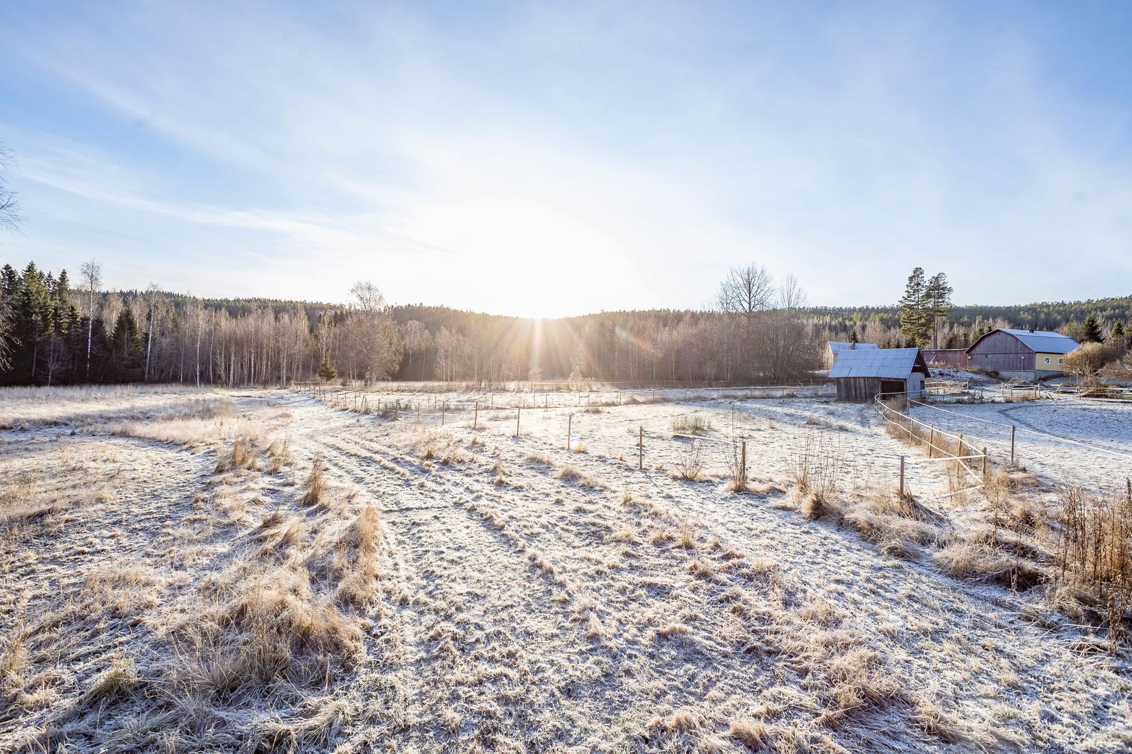 Gård/Skog, Ribodarna 107, Ribodarna, Timrå