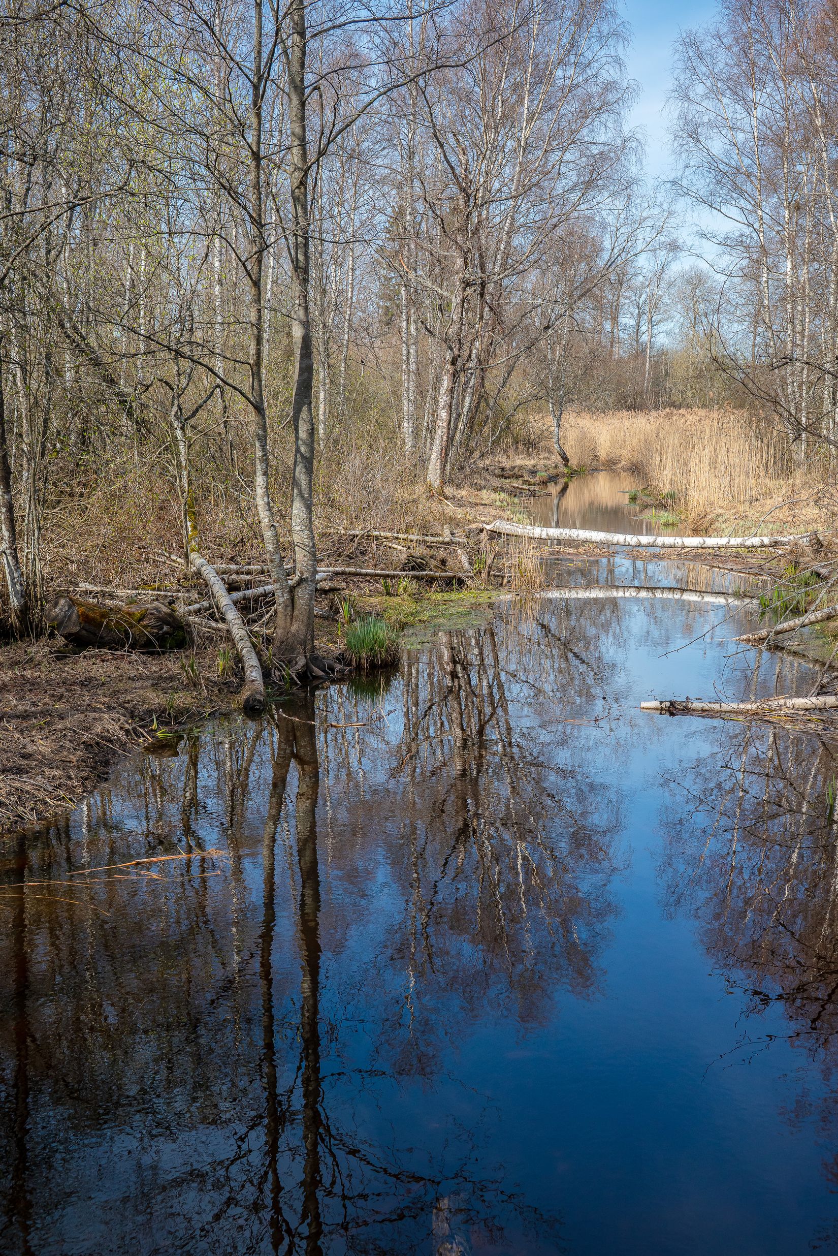 Tomt, Vasalundsvägen 5, Lindholmen, Vallentuna