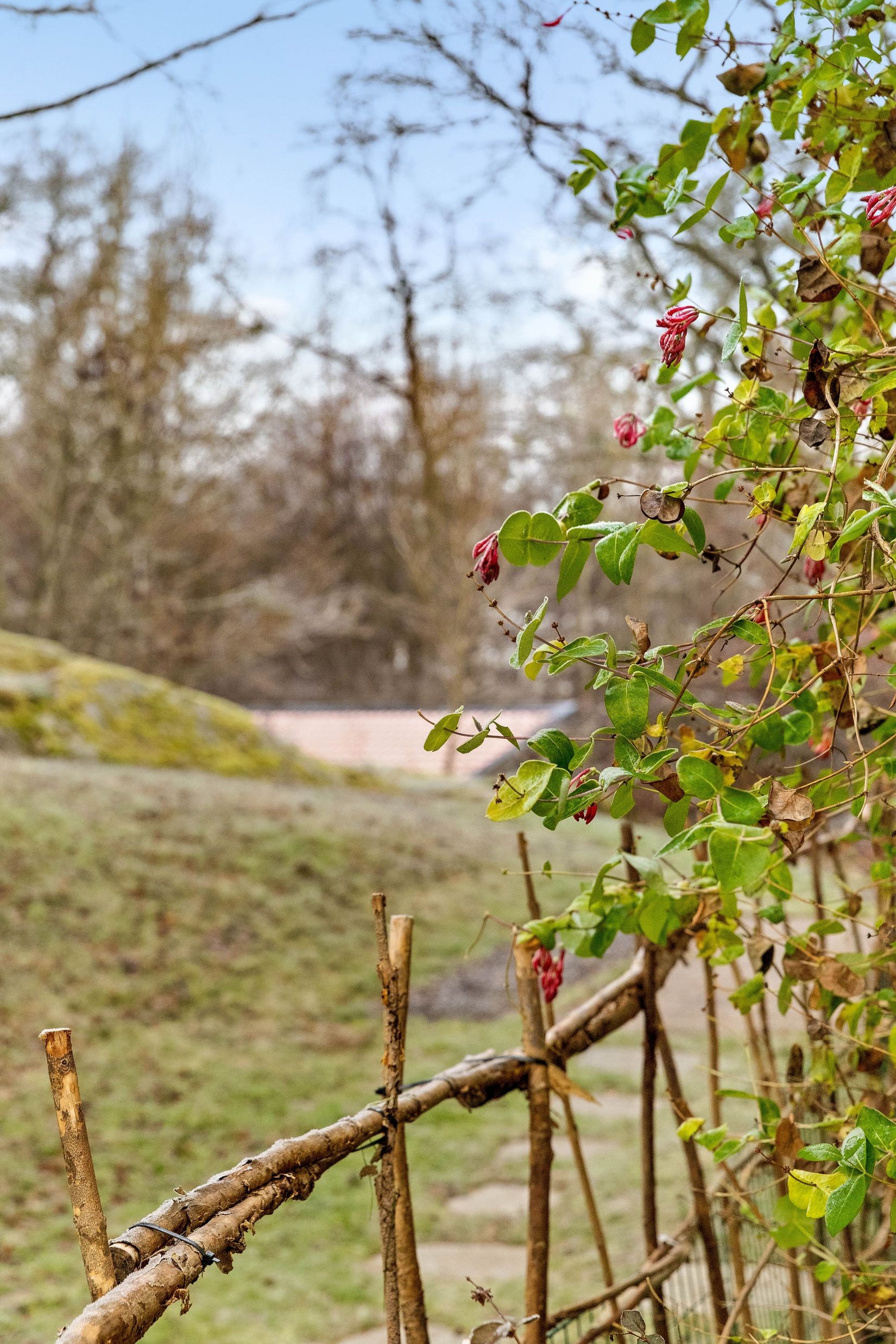 Villa, Broddstigen 1, Hästängsudd, Österåker