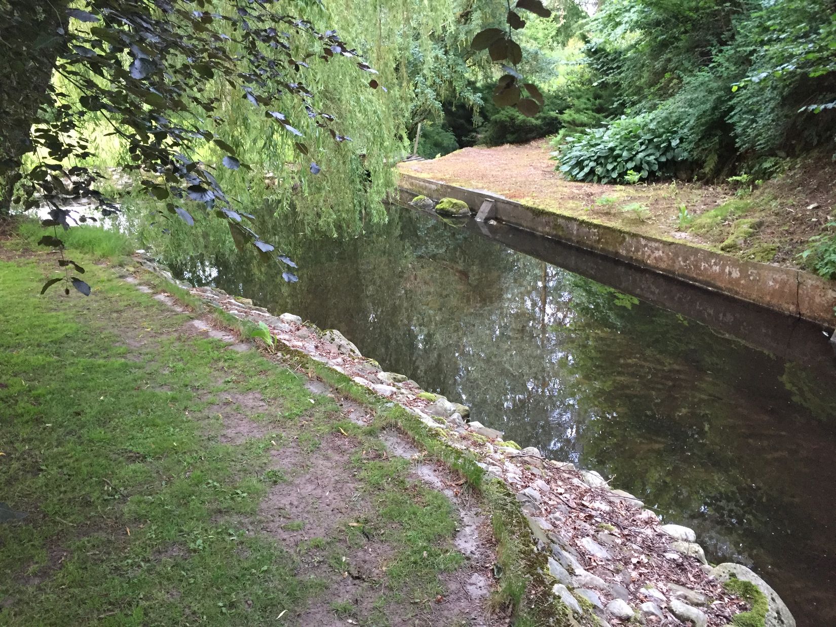 Gård/Skog, Ryadalsvägen 27, Vitaby, Simrishamn