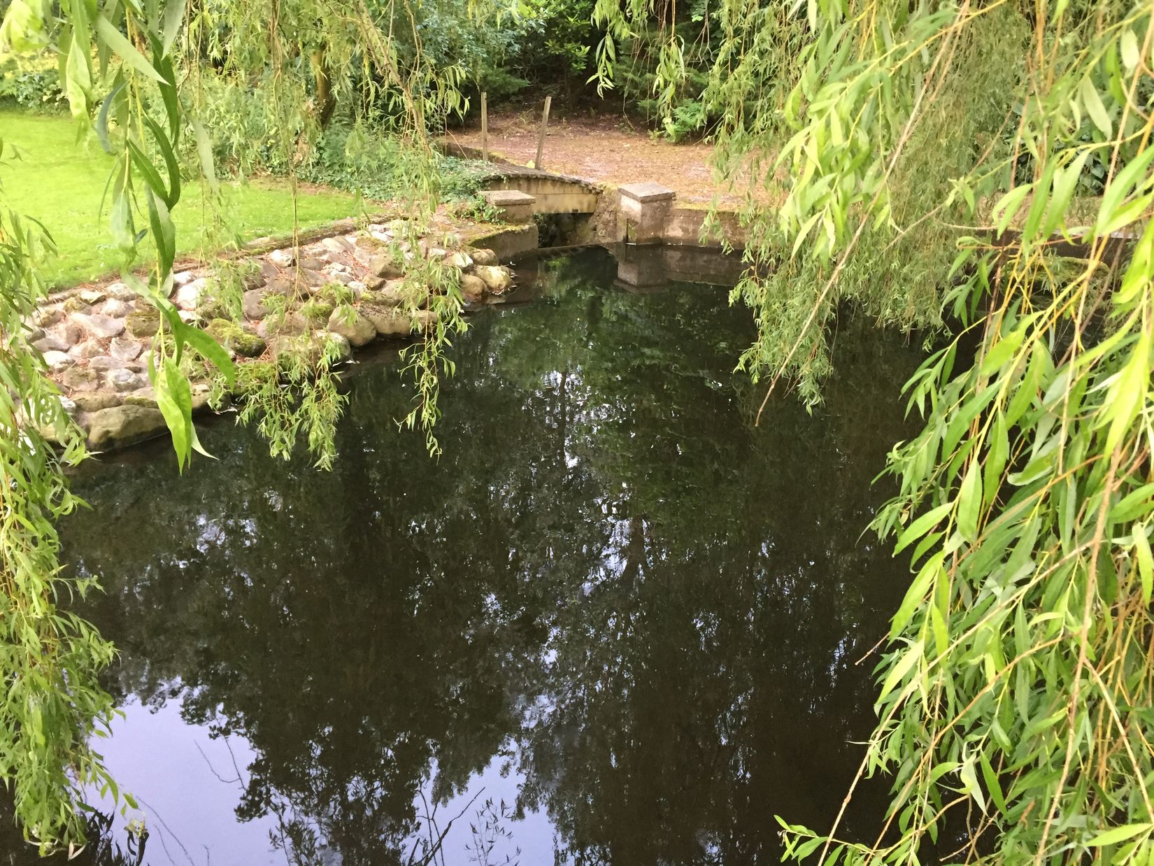 Gård/Skog, Ryadalsvägen 27, Vitaby, Simrishamn