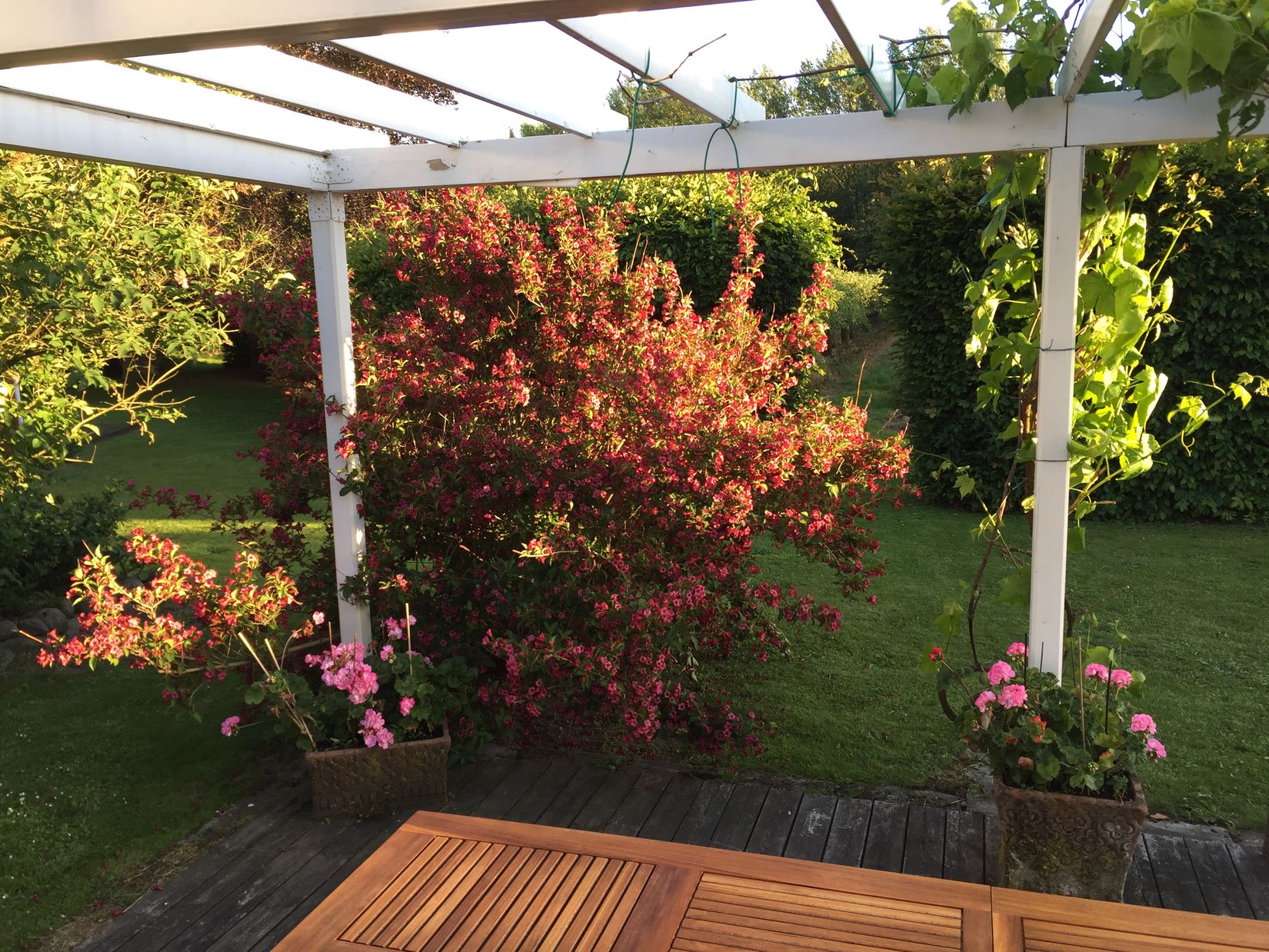 Gård/Skog, Ryadalsvägen 27, Vitaby, Simrishamn