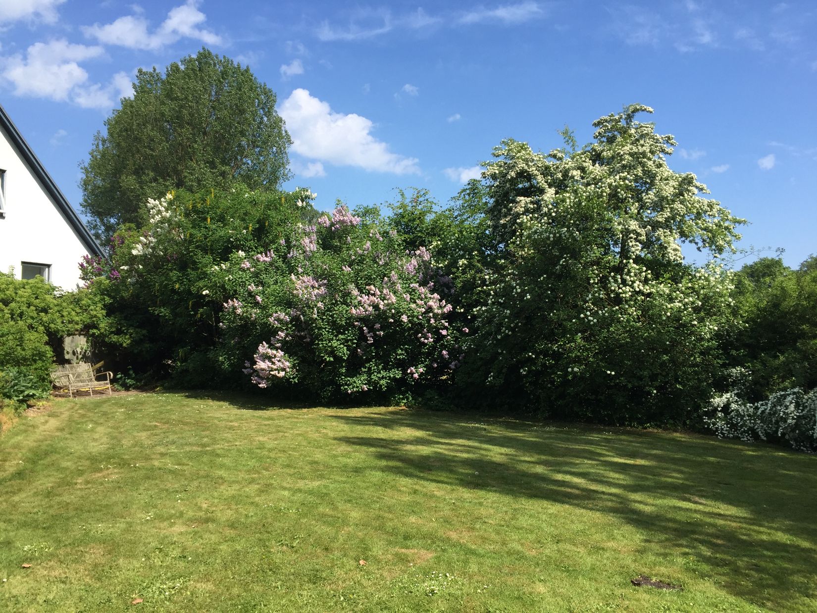 Gård/Skog, Ryadalsvägen 27, Vitaby, Simrishamn