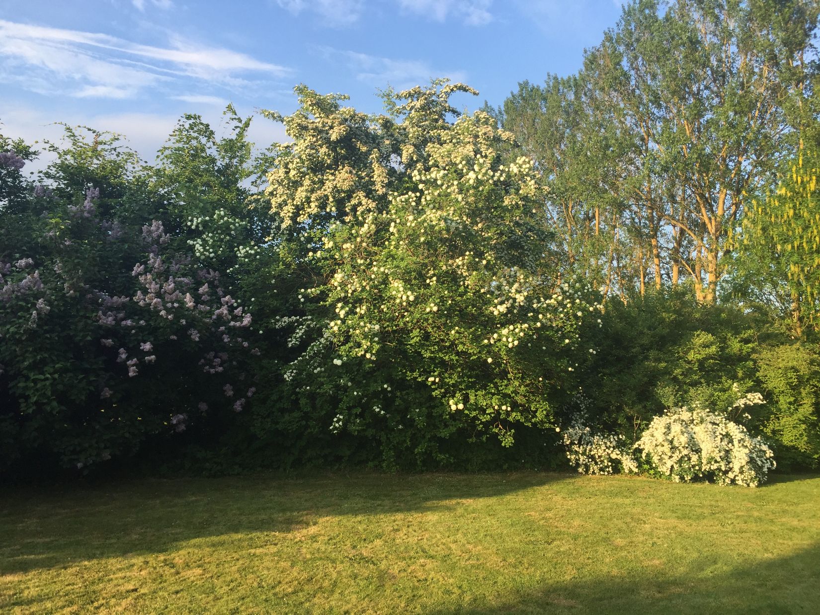 Gård/Skog, Ryadalsvägen 27, Vitaby, Simrishamn