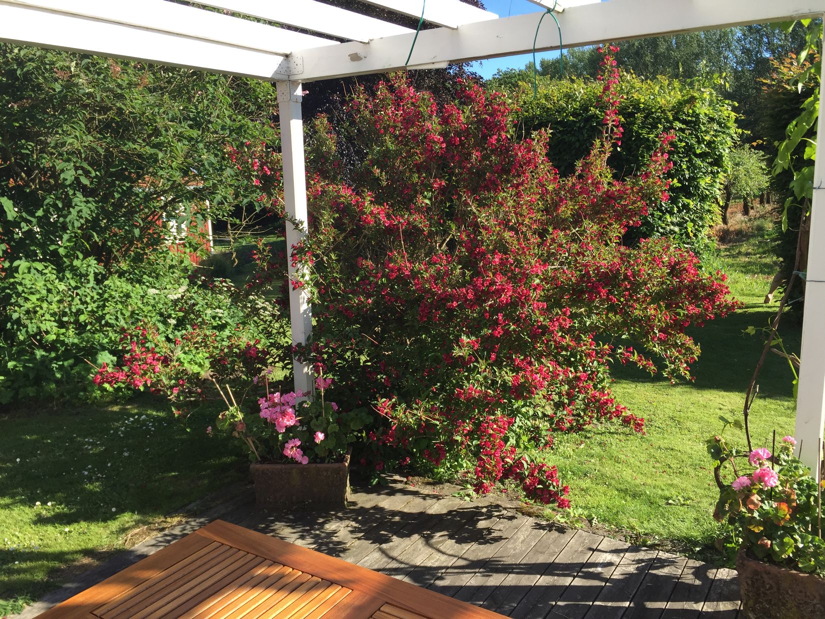 Gård/Skog, Ryadalsvägen 27, Vitaby, Simrishamn