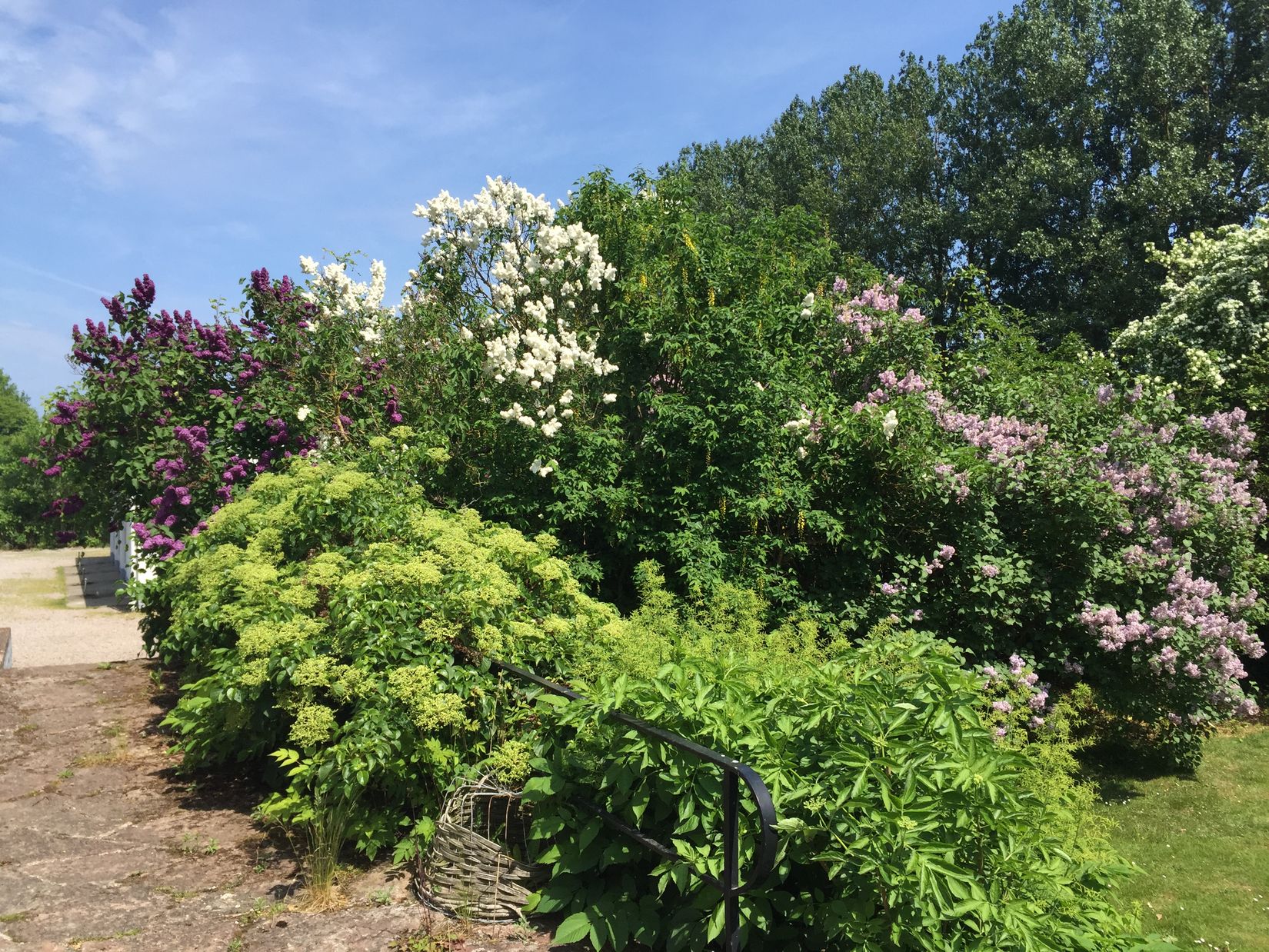 Gård/Skog, Ryadalsvägen 27, Vitaby, Simrishamn