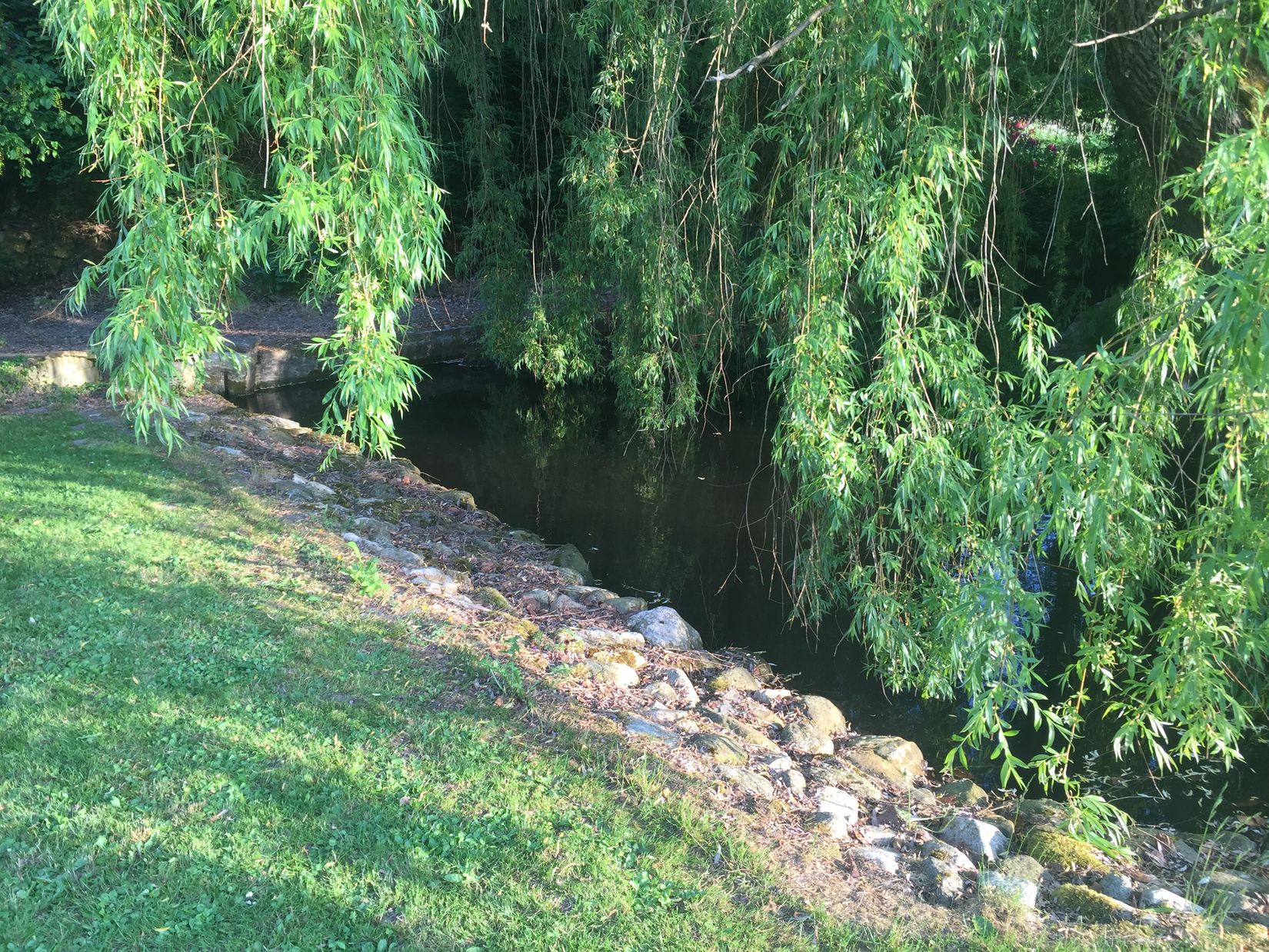 Gård/Skog, Ryadalsvägen 27, Vitaby, Simrishamn