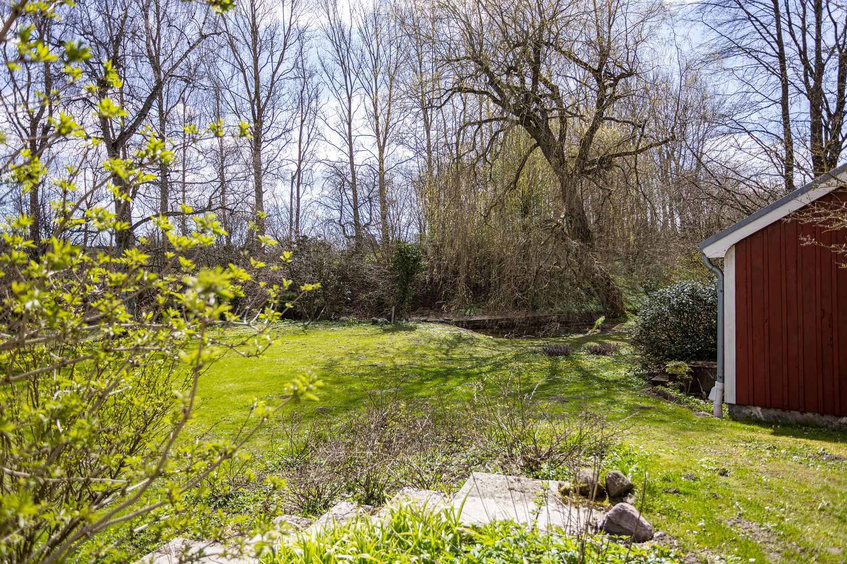 Gård/Skog, Ryadalsvägen 27, Vitaby, Simrishamn