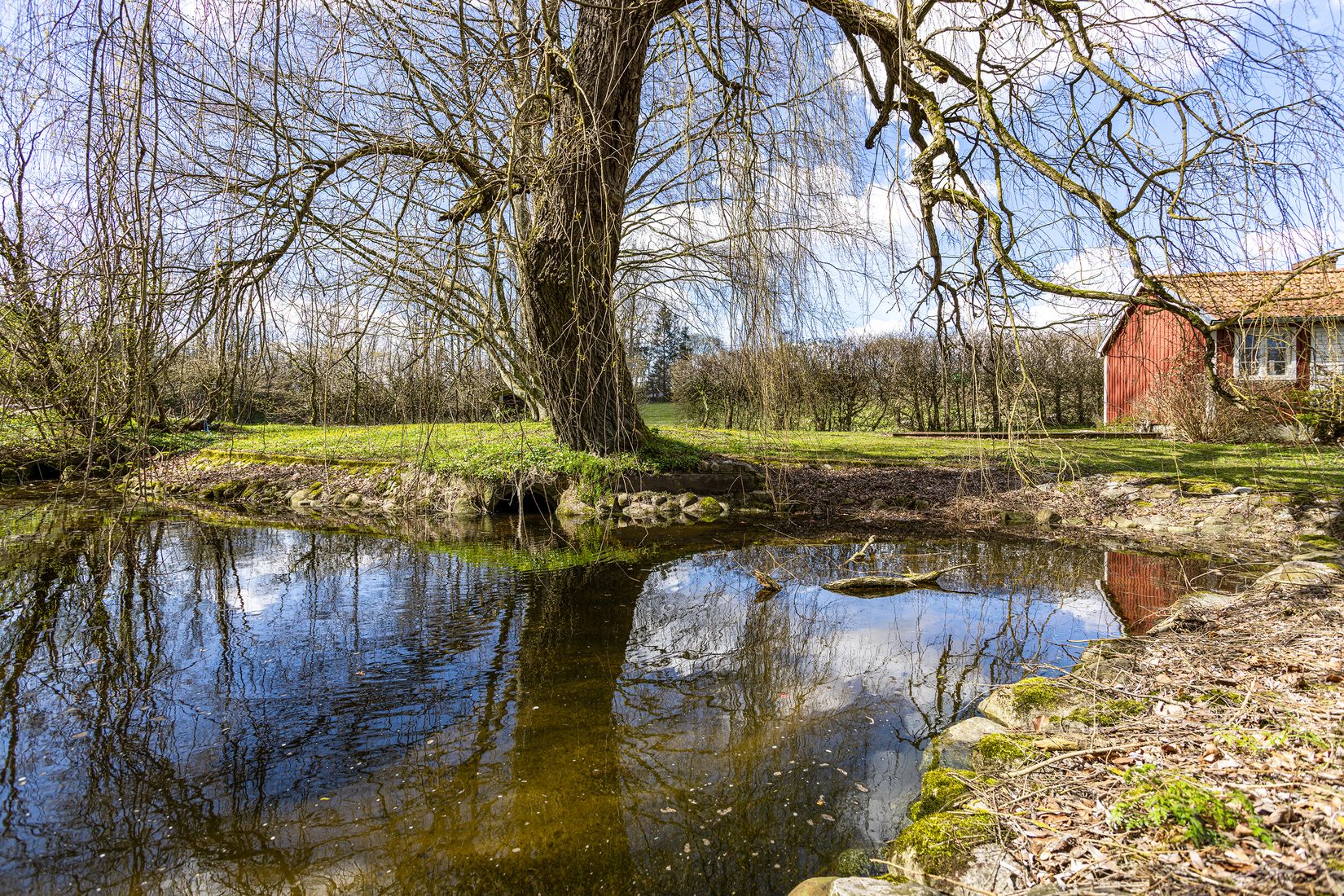 Gård/Skog, Ryadalsvägen 27, Vitaby, Simrishamn