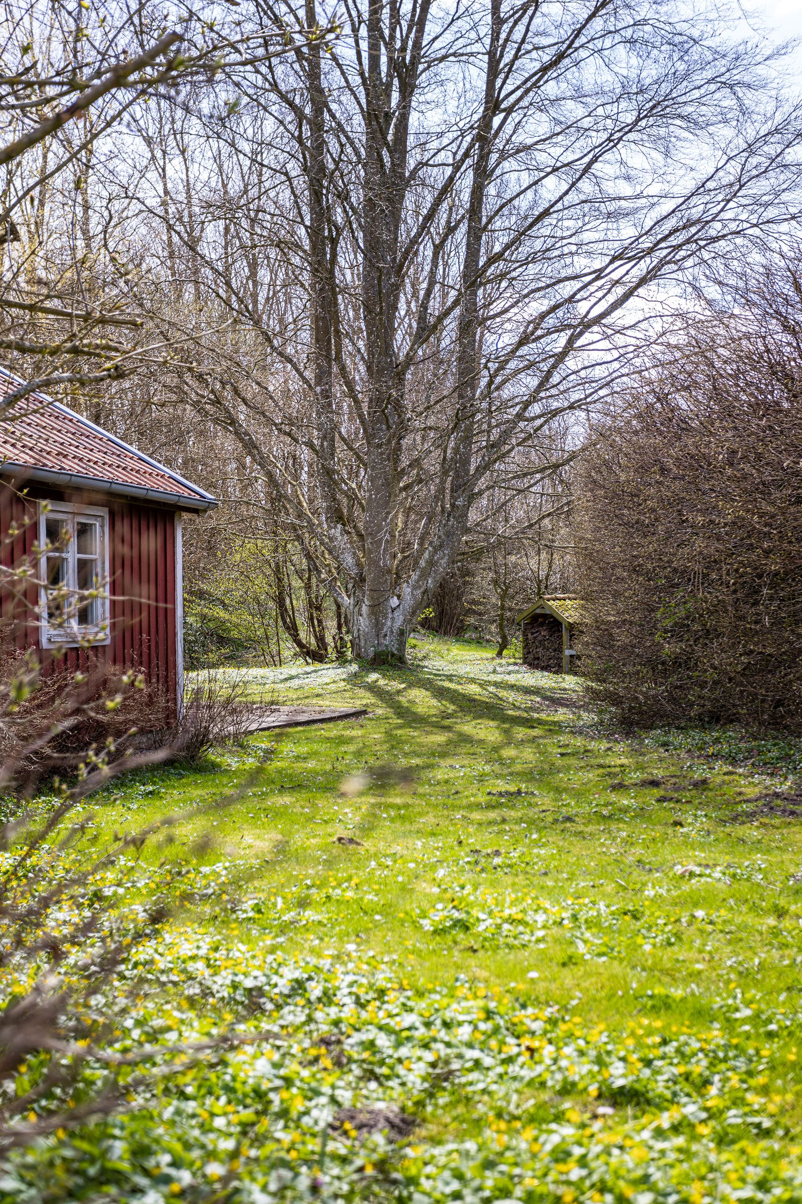 Gård/Skog, Ryadalsvägen 27, Vitaby, Simrishamn