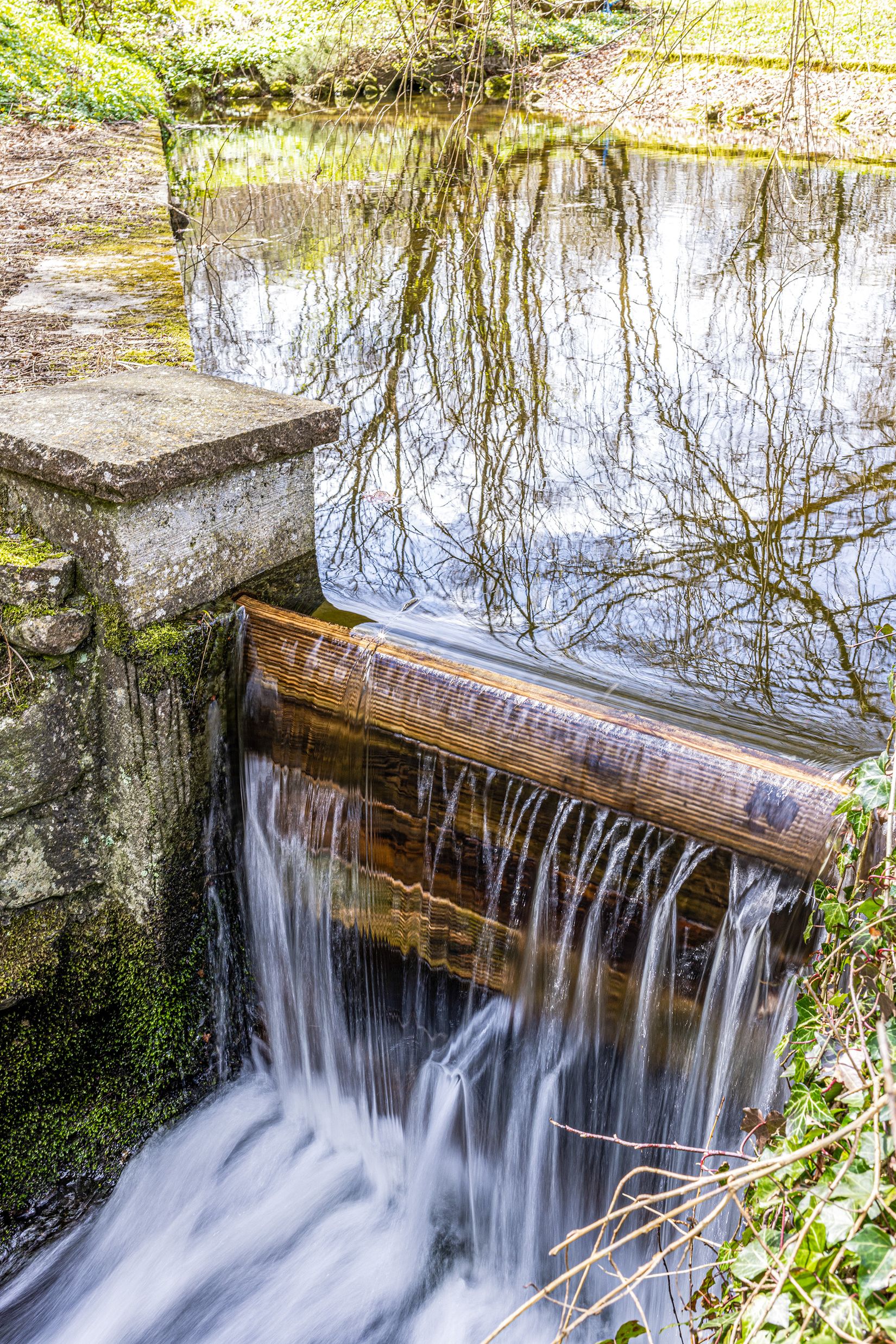 Gård/Skog, Ryadalsvägen 27, Vitaby, Simrishamn