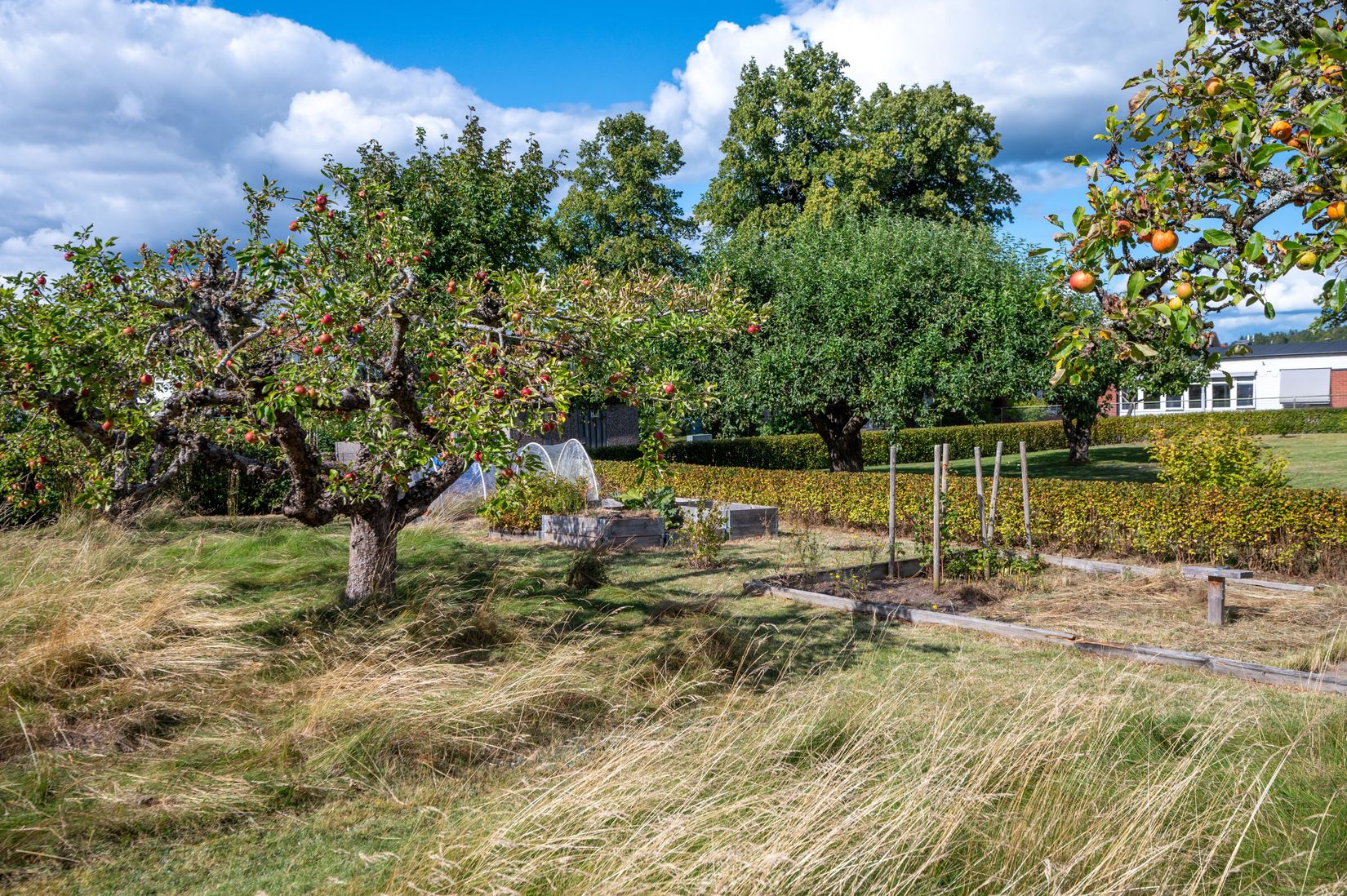 Villa, O G Svenssons väg 28, Ljungsbro, Linköping