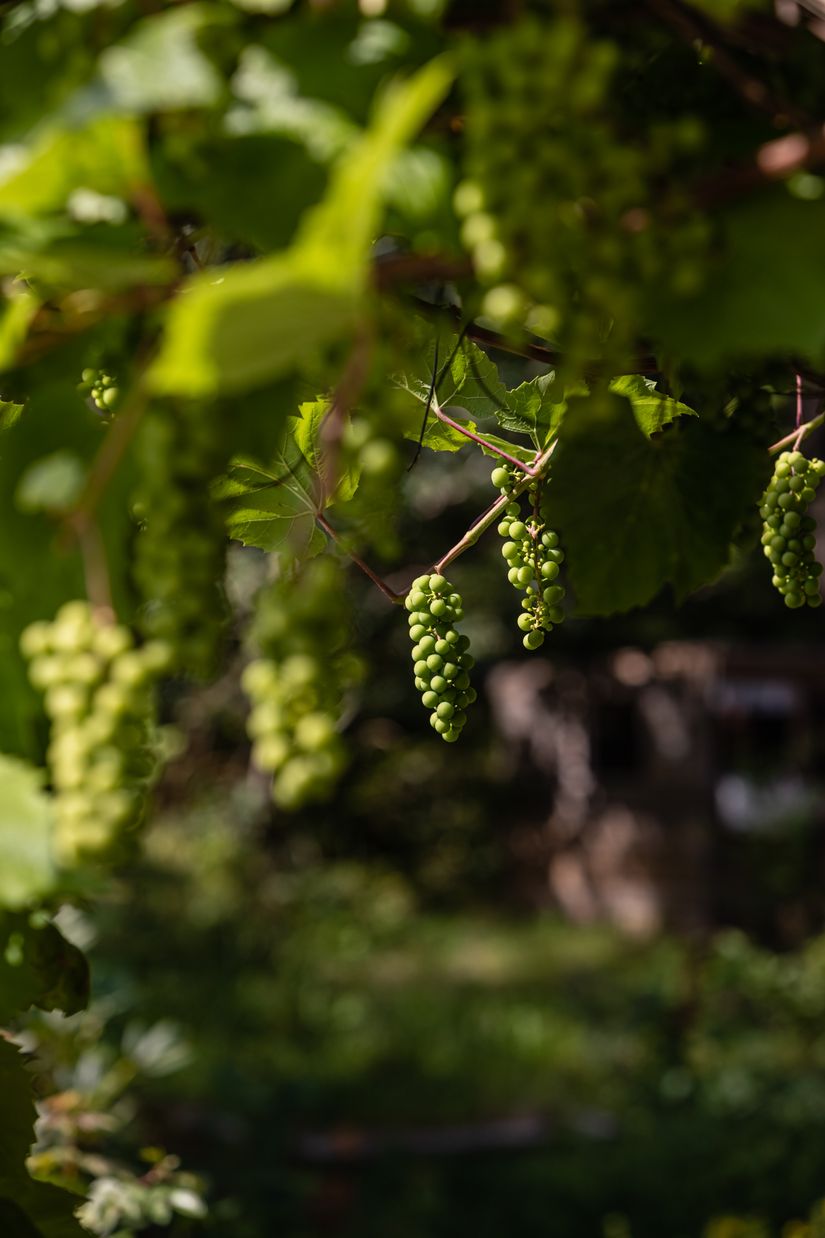 Bostadsrätt, Radhus, Bolindervägen 27, Kallhäll, Järfälla