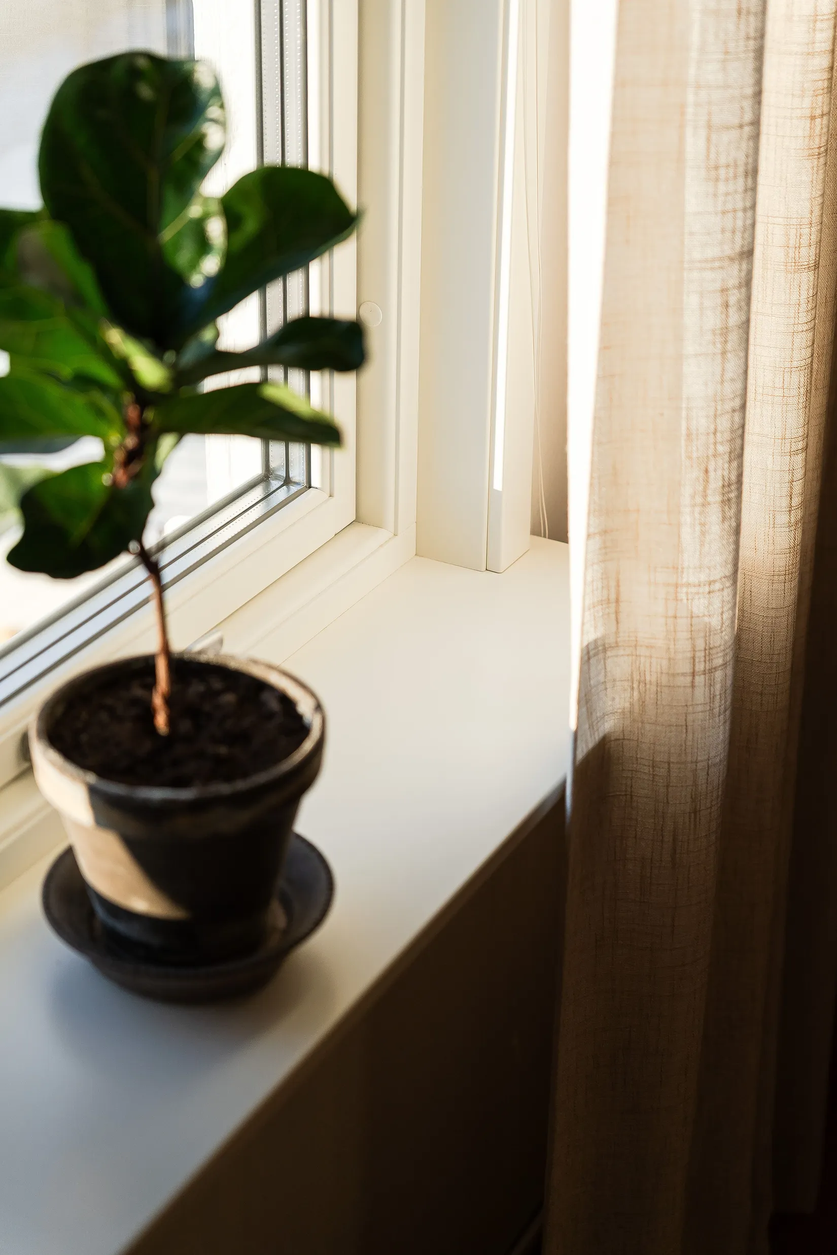 Villa, Radhus, Fodergränd 34, Bergsbyn, Skellefteå