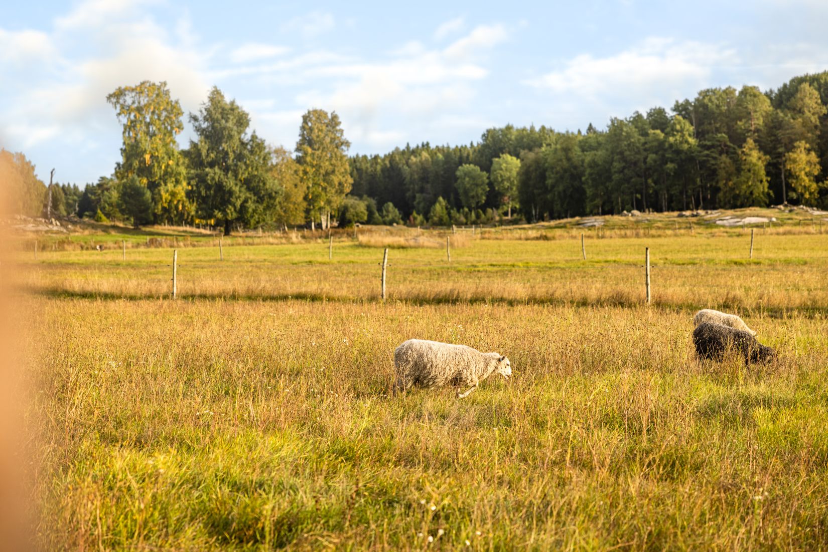 Bostadsrätt, Lupinstigen 5C, Vendelsö, Haninge