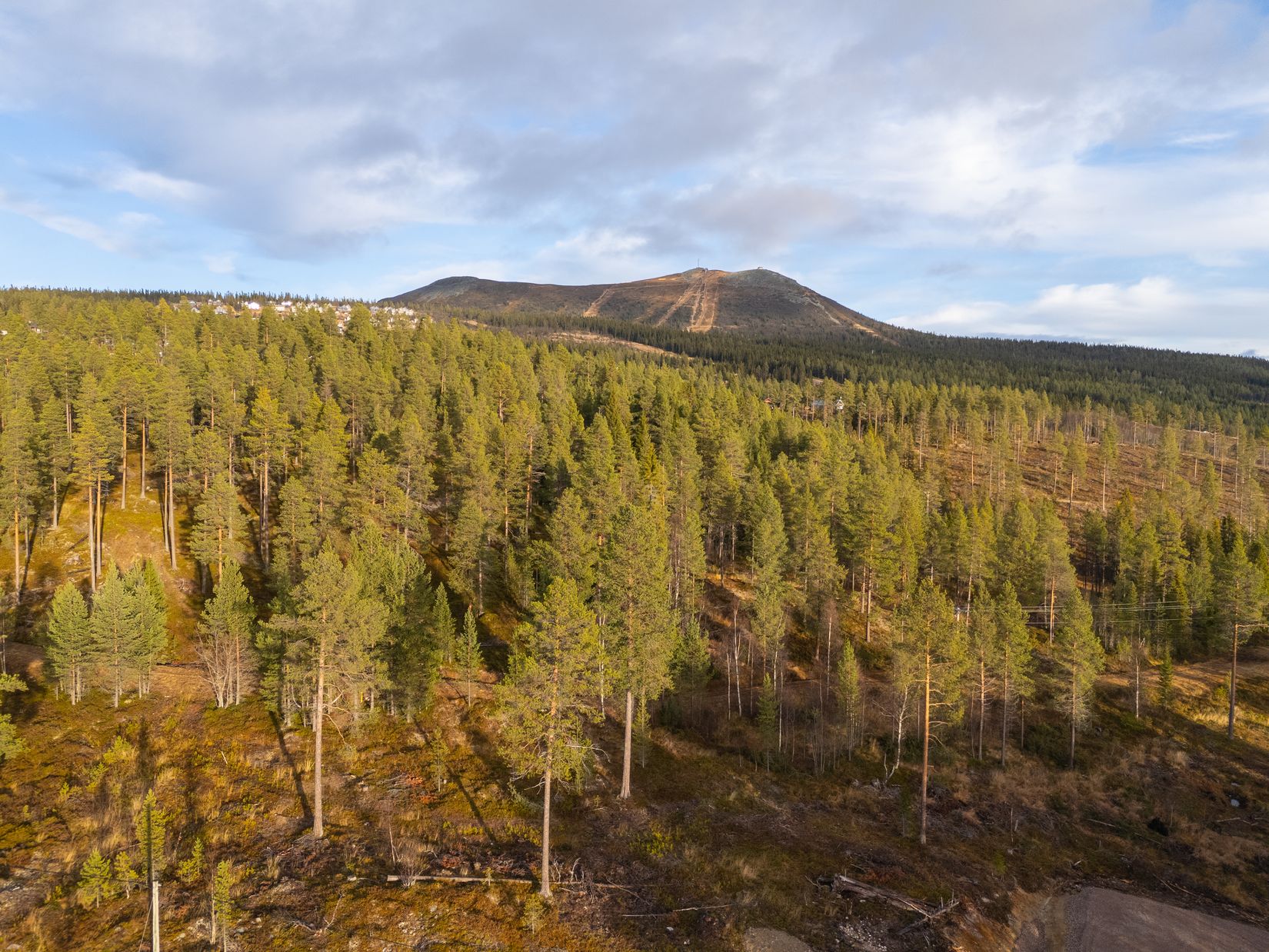 Tomt, Lillfot Jöns väg 5, Härjedalen