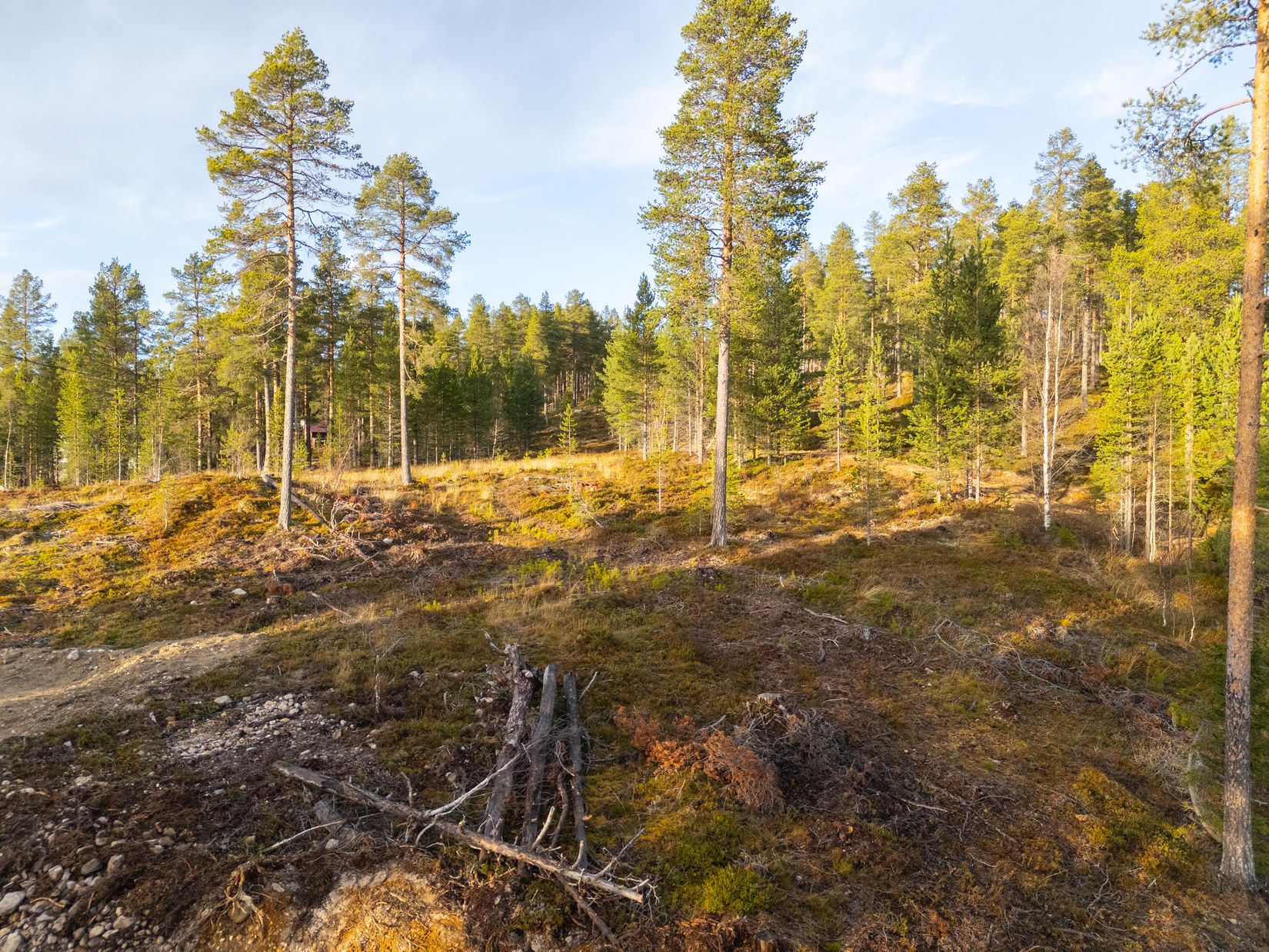 Tomt, Lillfot Jöns väg 5, Härjedalen