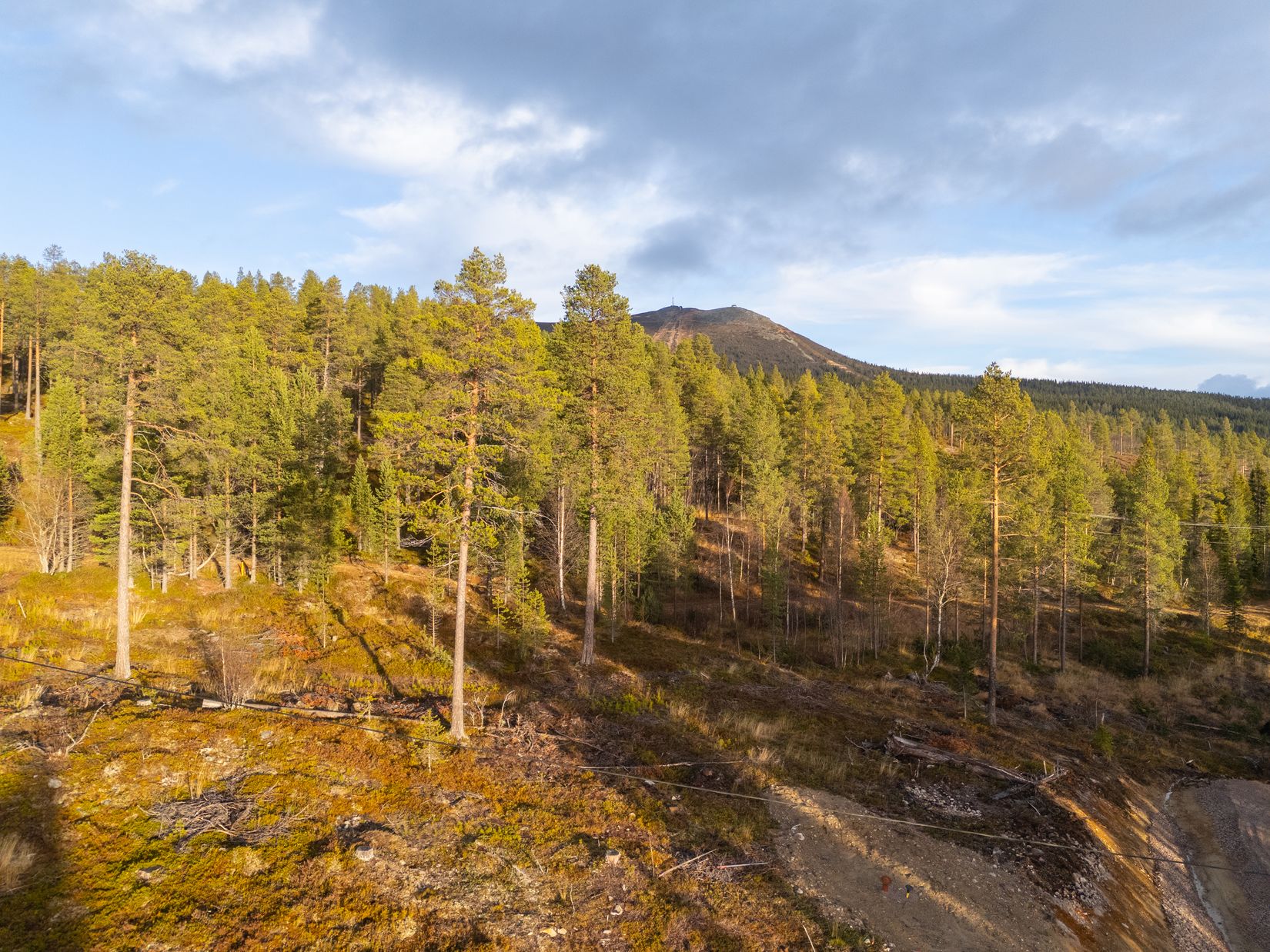 Tomt, Lillfot Jöns väg 5, Härjedalen