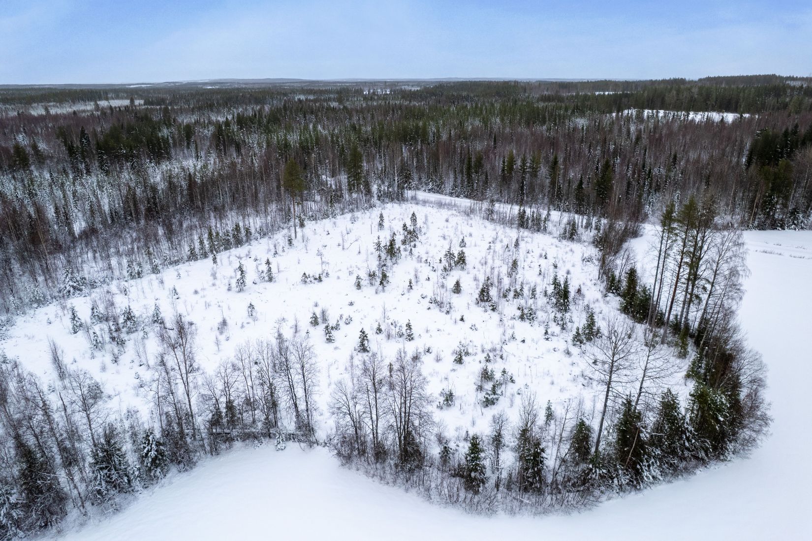 Tomt, SKELLEFTEÅ-LÖVLUND 1:27, Skellefteå