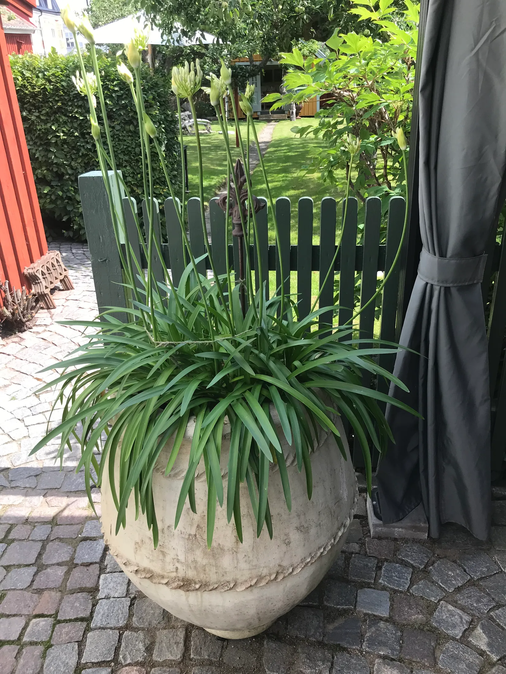 Villa, Regeringsgatan 14, Karlshamn Centrum, Karlshamn