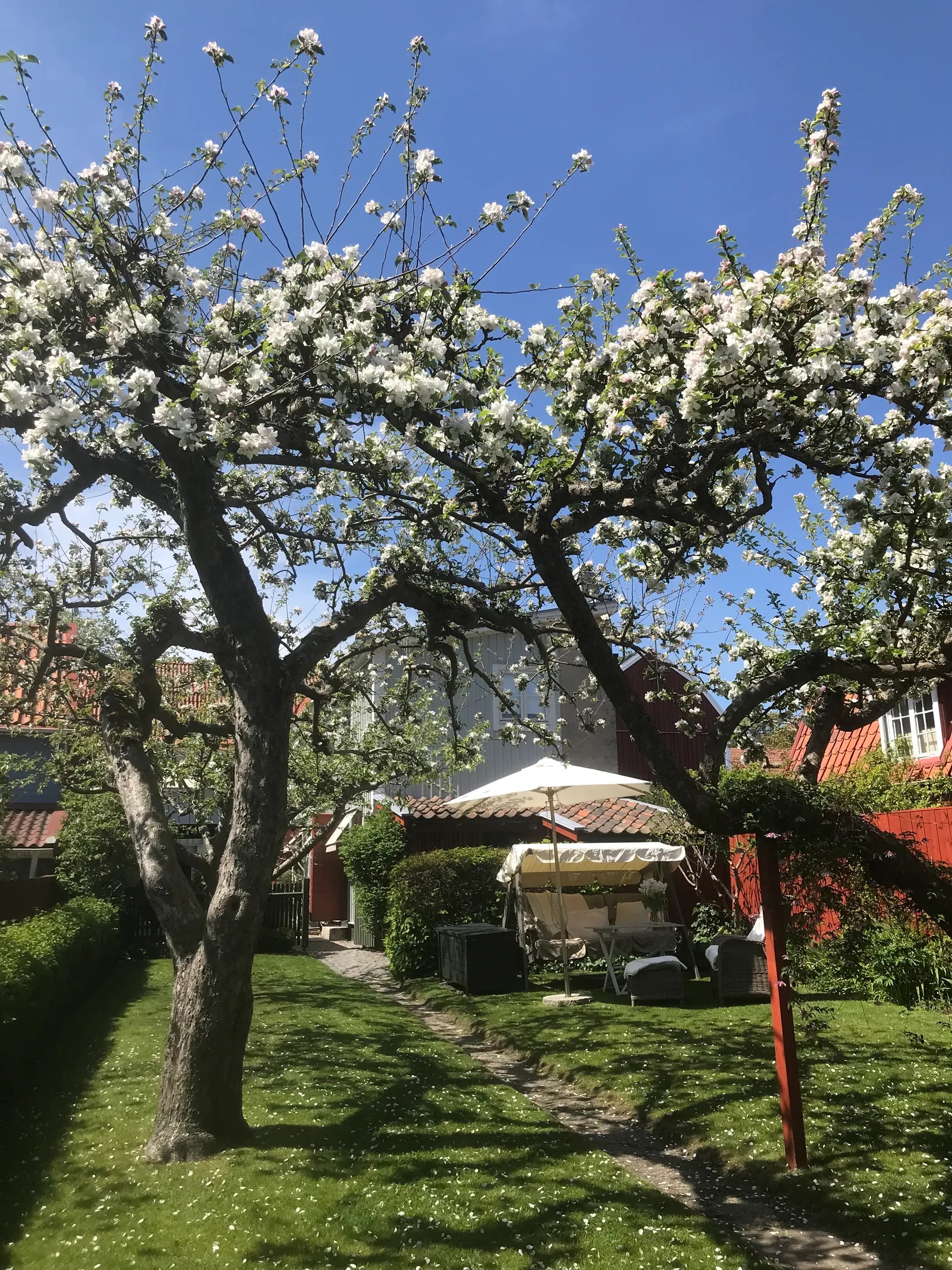 Villa, Regeringsgatan 14, Karlshamn Centrum, Karlshamn