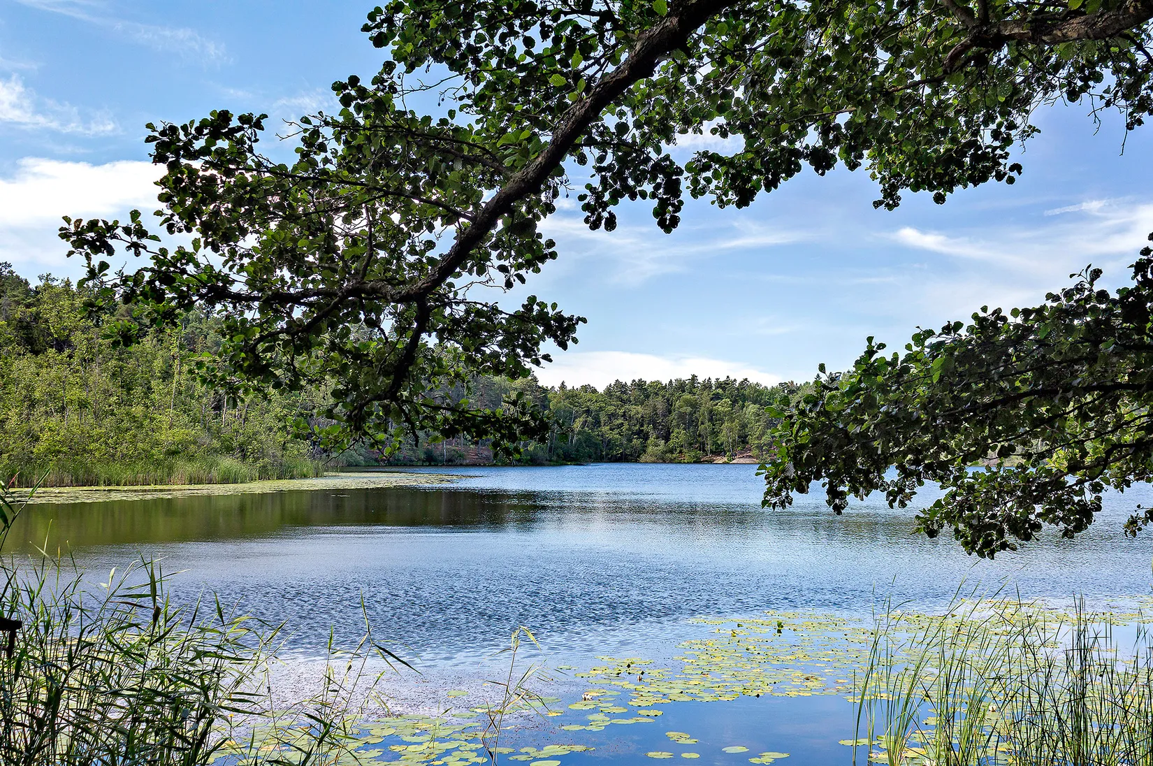 Bostadsrätt, Brålunden 13, 3tr., Bromma / Nockeby, Stockholm