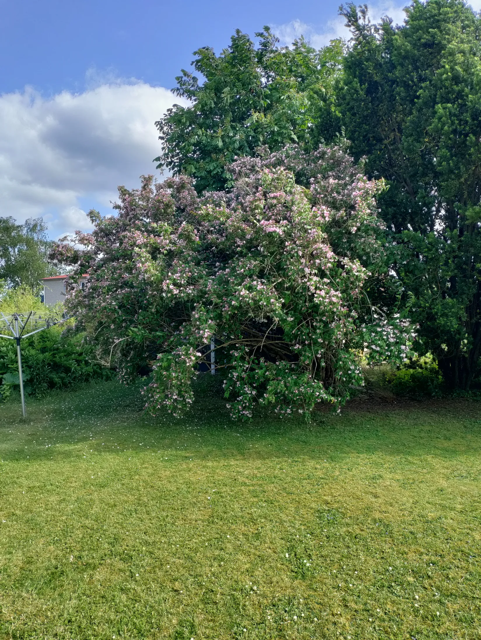Villa, Fanjunkarevägen 19, Kallinge, Ronneby