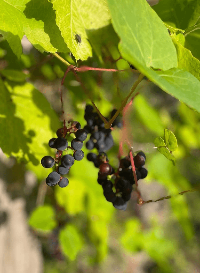 Fritidshus, Floget 410, Västra Tunhem, Vänersborg